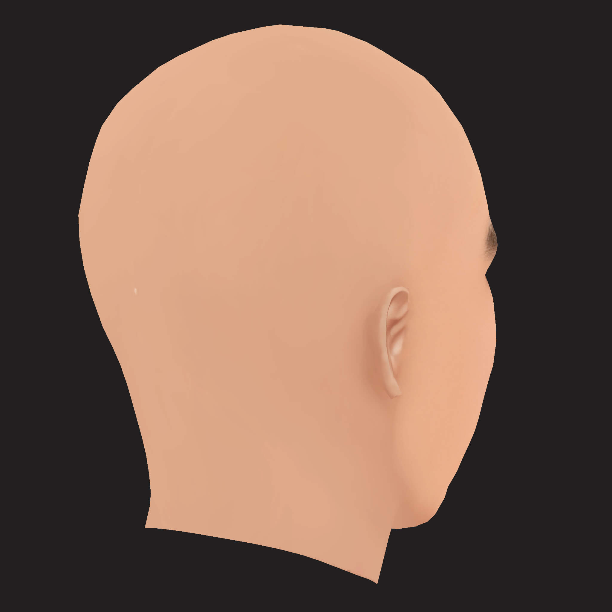 Low Poly J Cole Rapper Head 3D Model