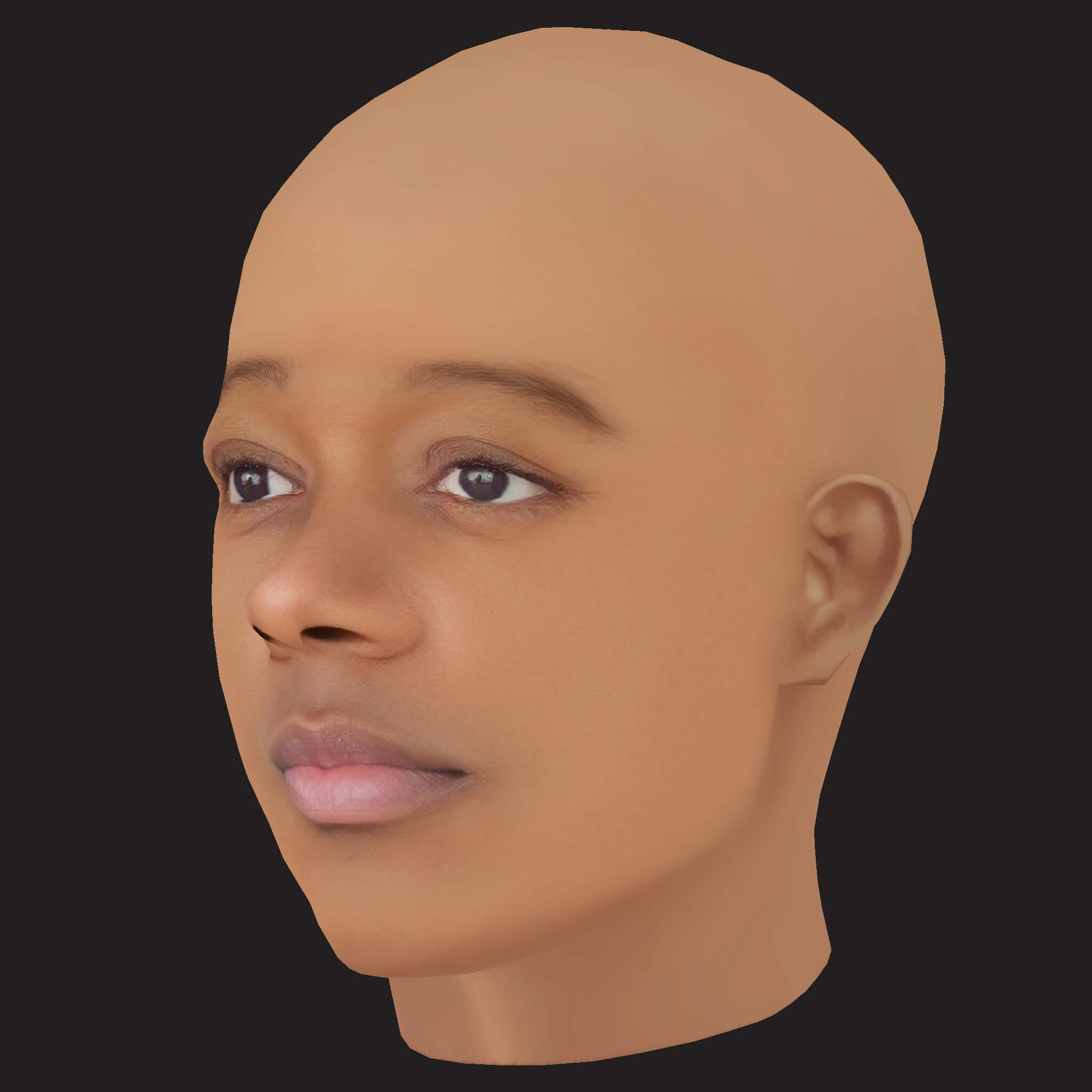 Low Poly JID Rapper Head 3D Model