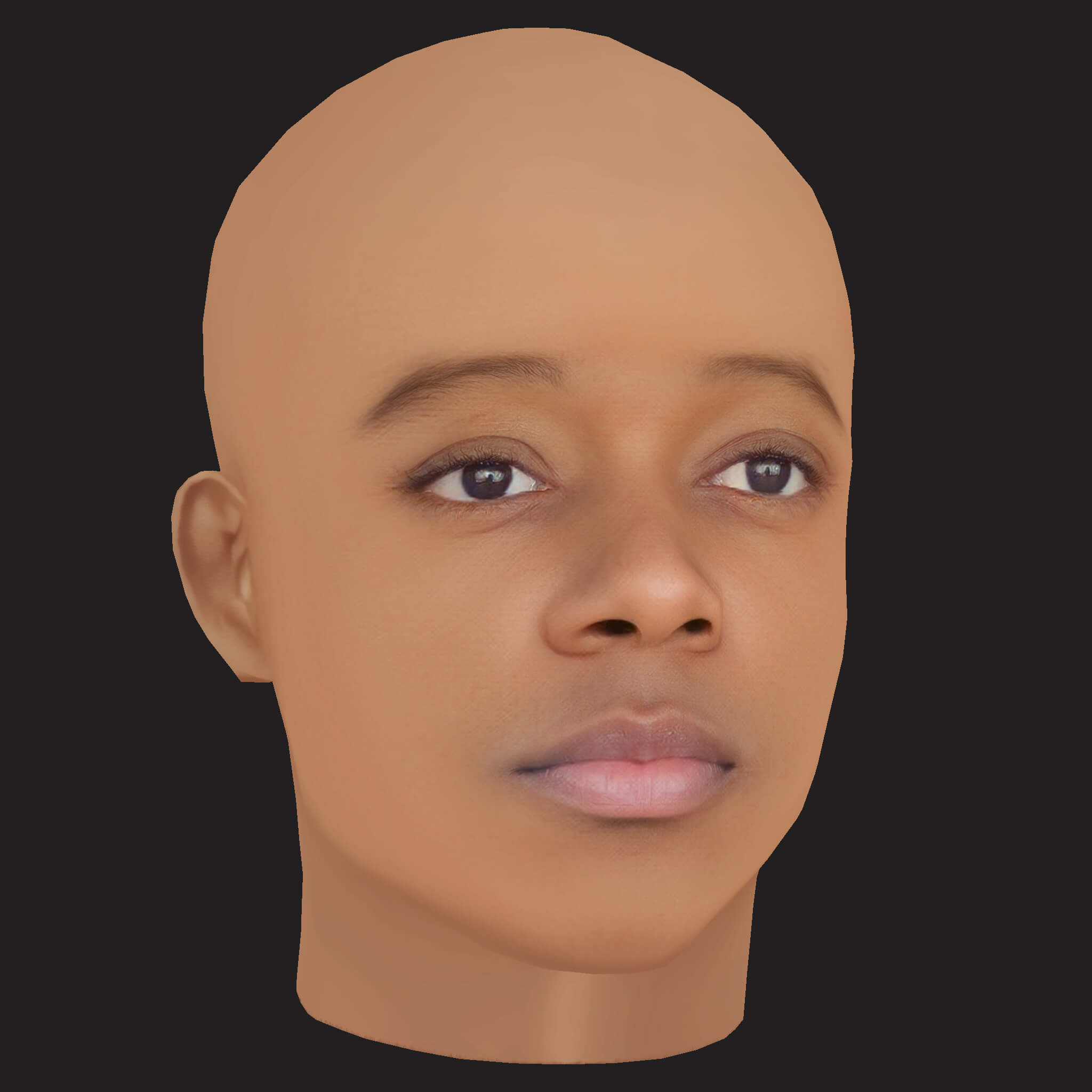 Low Poly JID Rapper Head 3D Model