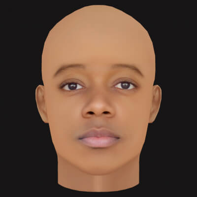 Low Poly JID Rapper Head