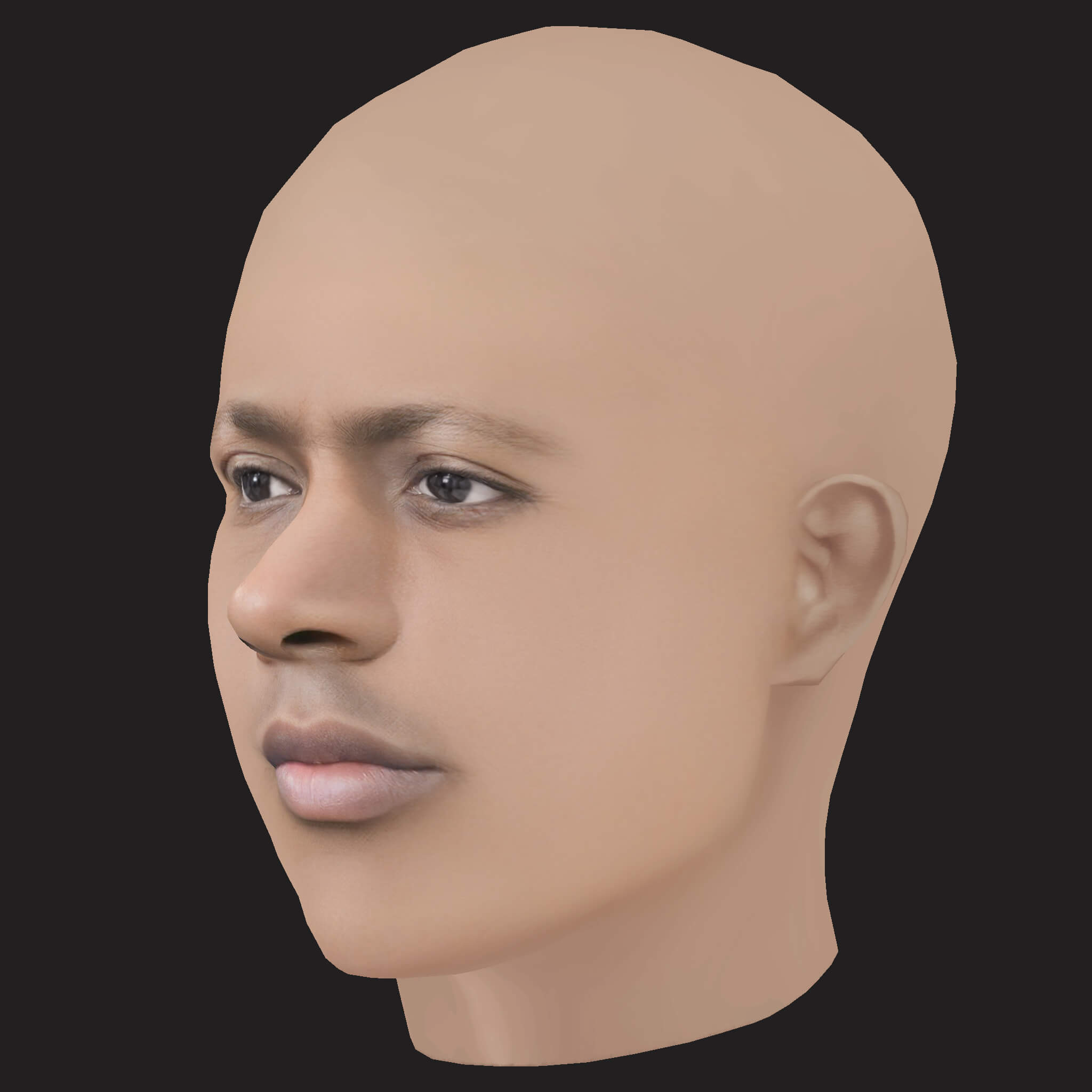Low Poly Joey Bada Rapper Head 3D Model