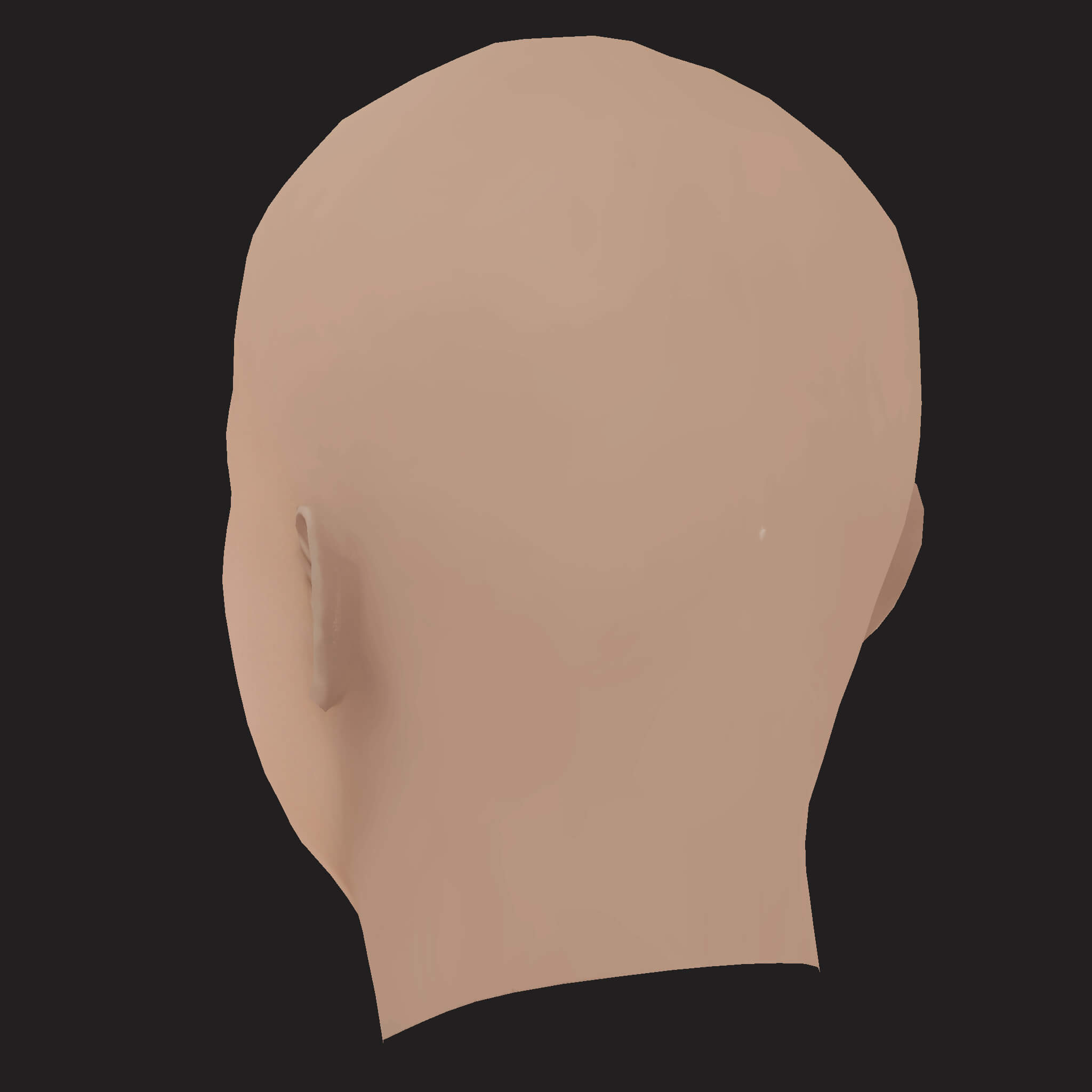 Low Poly Joey Bada Rapper Head 3D Model