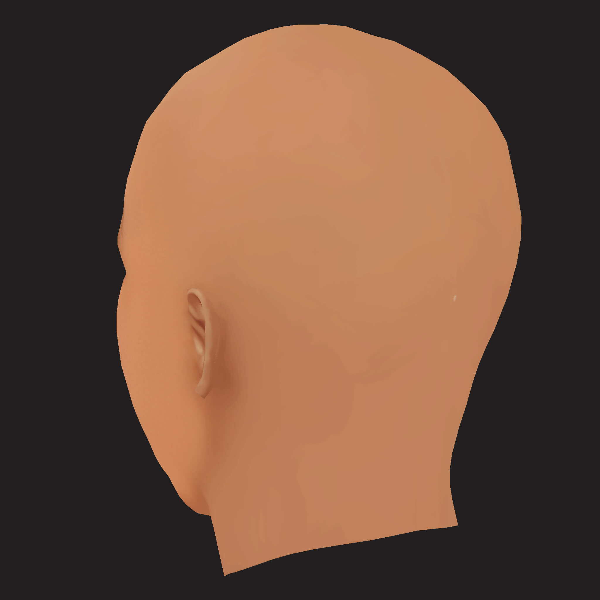 Low Poly Lil Wayne Rapper Head 3D Model