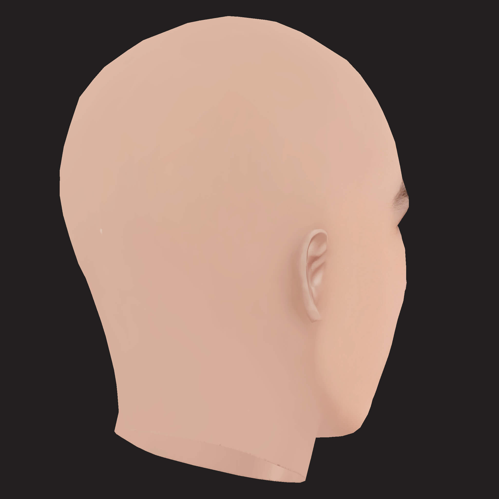 Low Poly Logic Rapper Head 3D Model