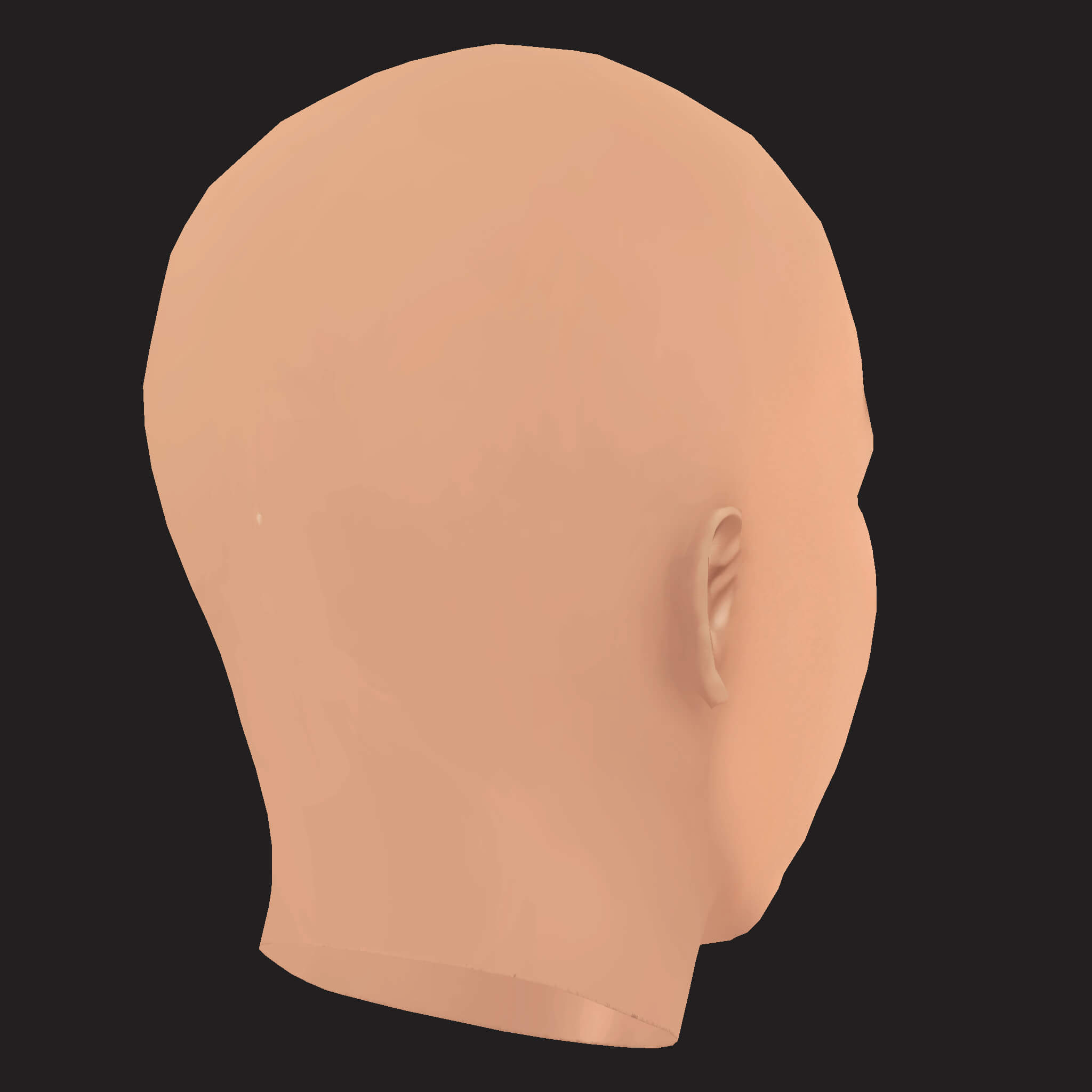 Low Poly Mac Miller Rapper Head 3D Model