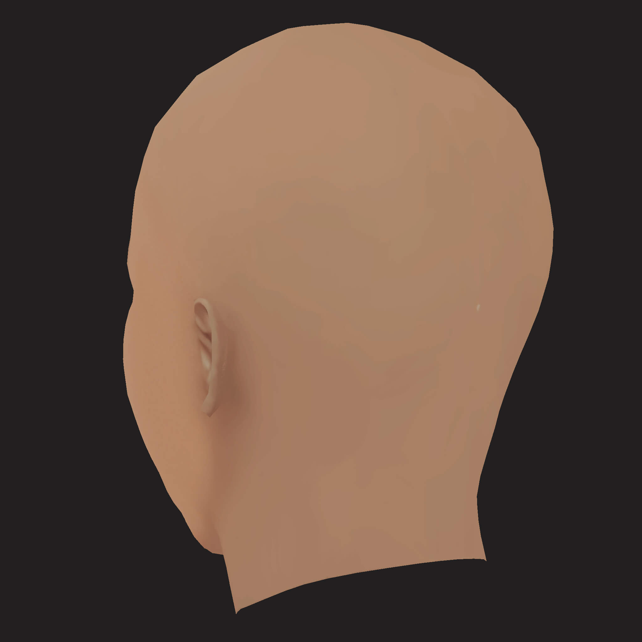 Low Poly Meek Mill Rapper Head 3D Model