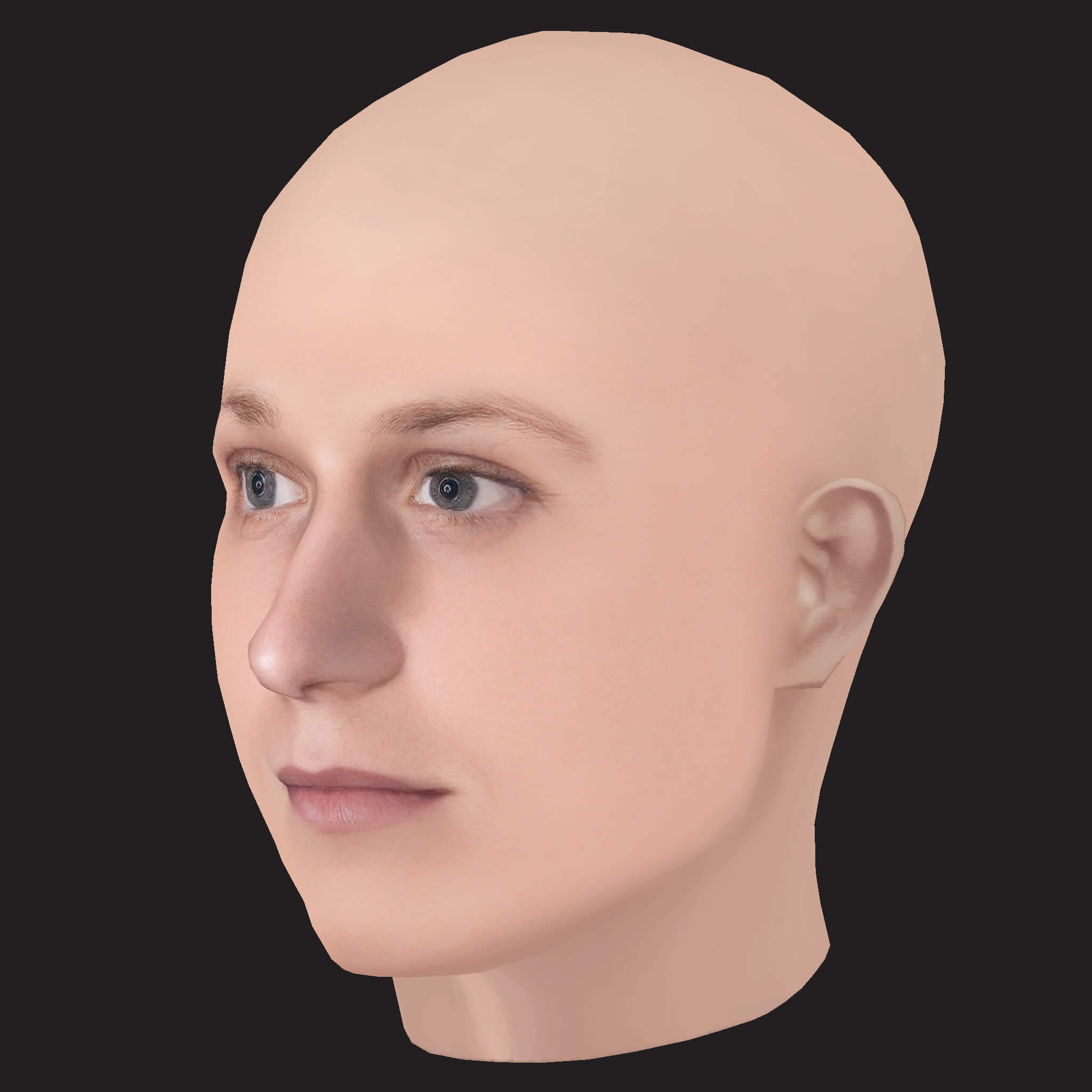 Low Poly NF Rapper Head 3D Model