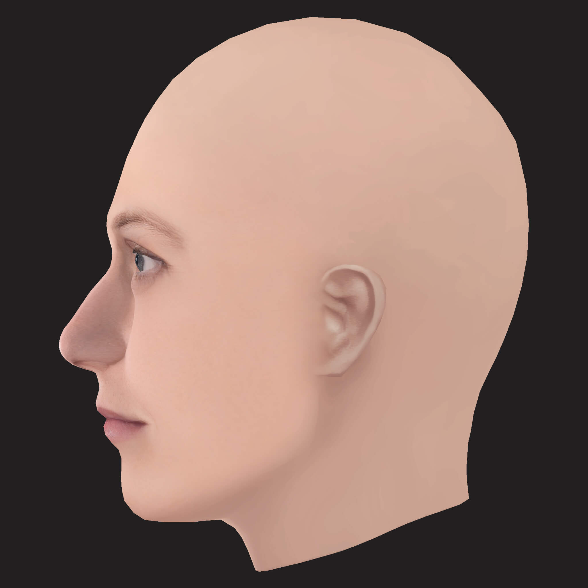 Low Poly NF Rapper Head 3D Model