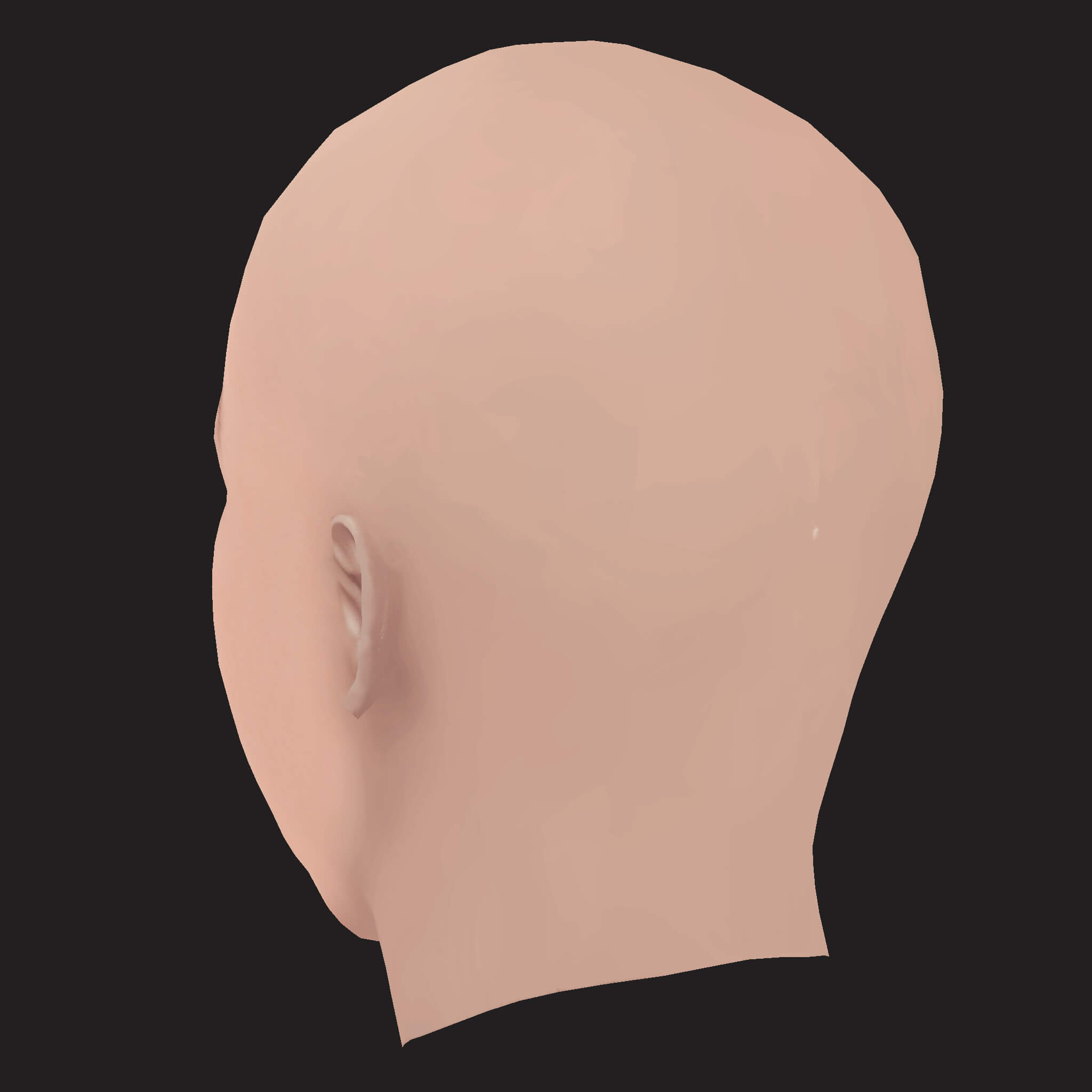 Low Poly NF Rapper Head 3D Model