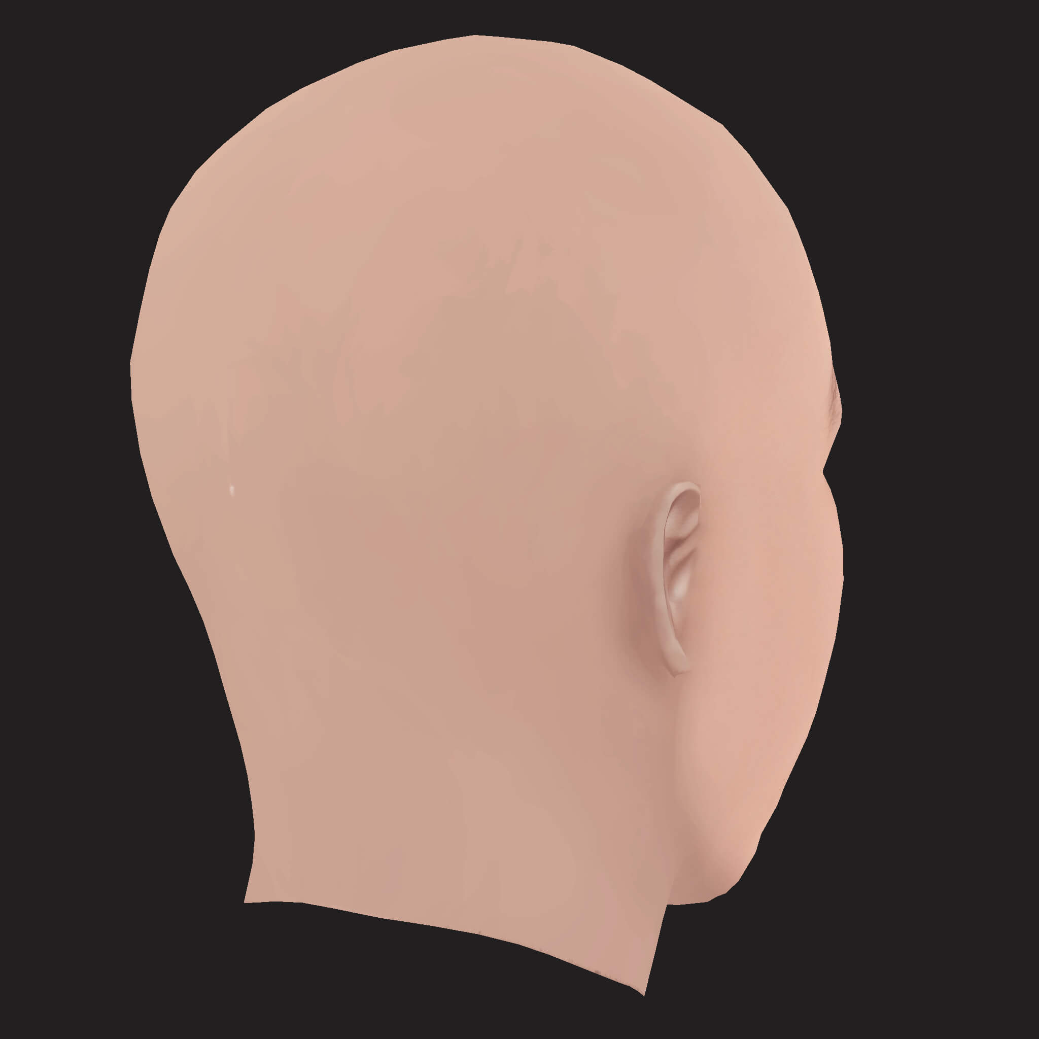 Low Poly NF Rapper Head 3D Model