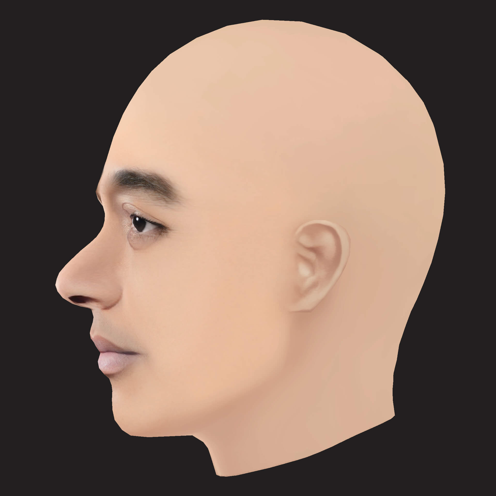 Low Poly Nipsey Hussle Rapper Head 3D Model