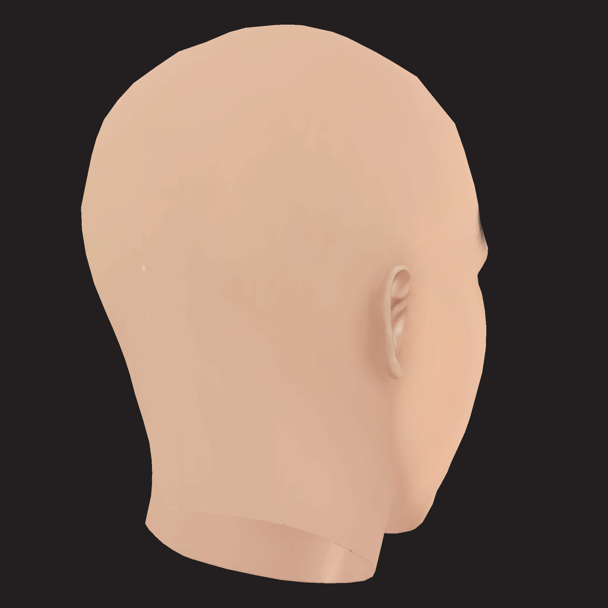 Low Poly Nipsey Hussle Rapper Head 3D Model