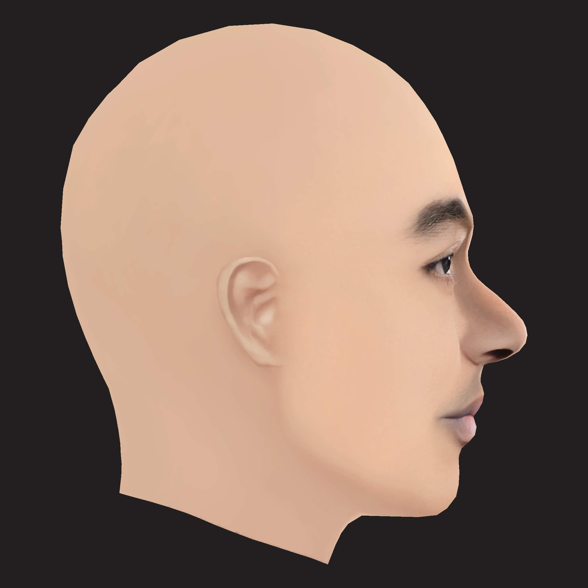 Low Poly Nipsey Hussle Rapper Head 3D Model