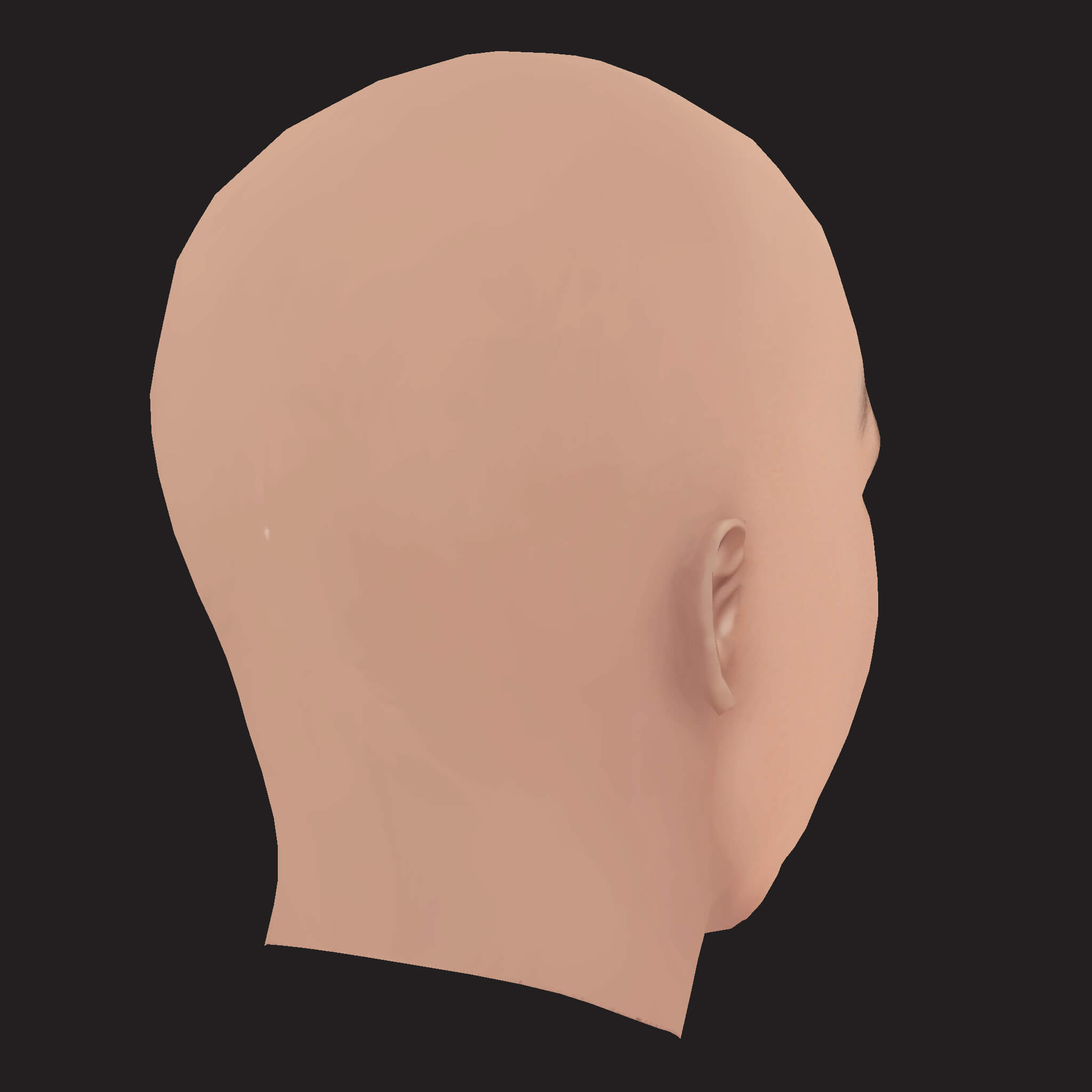 Low Poly Olamide Rapper Head 3D Model