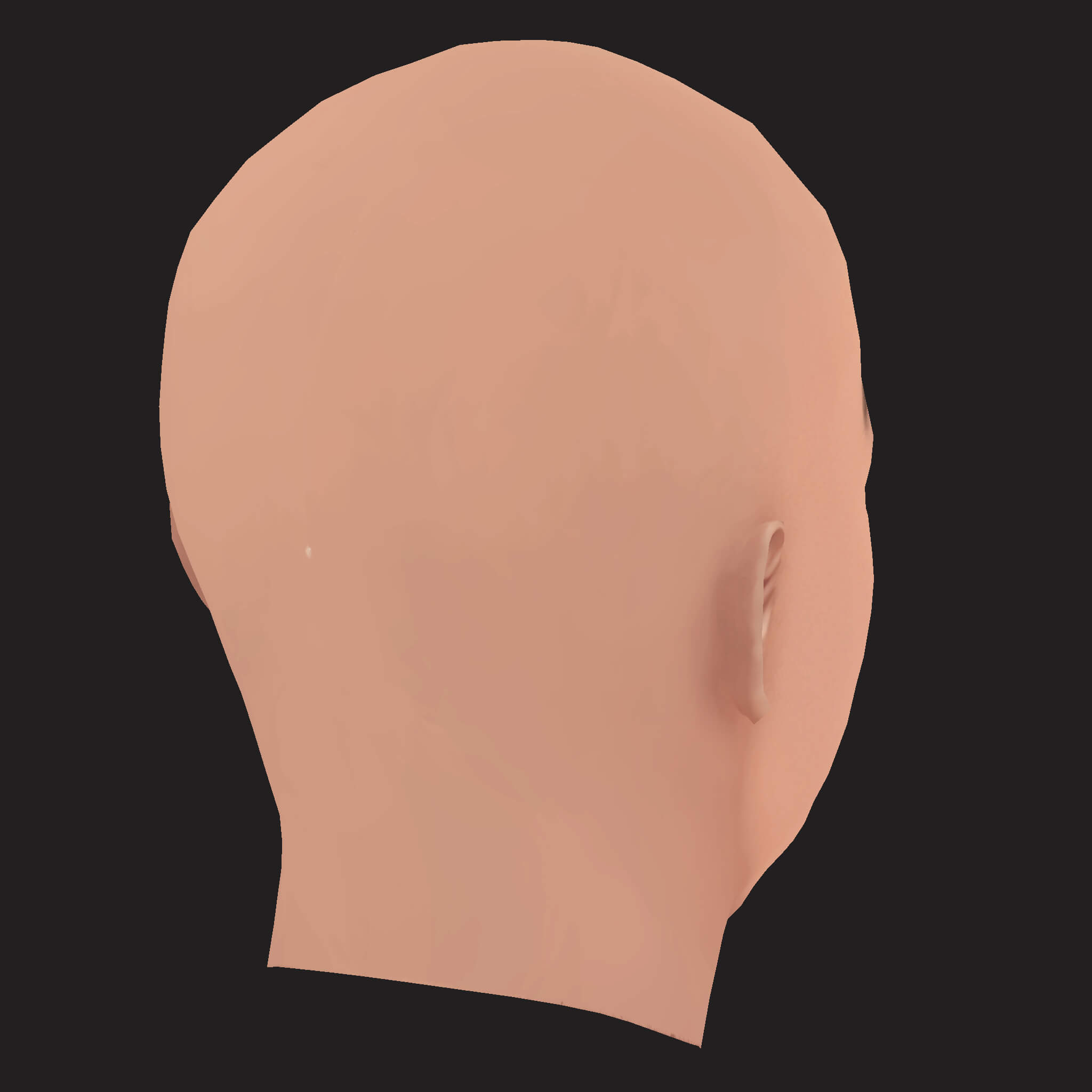 Low Poly Playboi Carti Rapper Head 3D Model