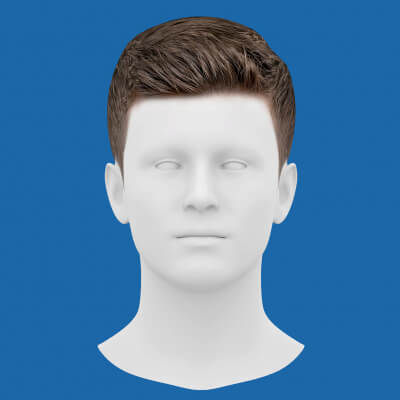 Low Poly Realistic Hair 8 for Games