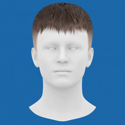 Low Poly Realistic Hair 9 for Games