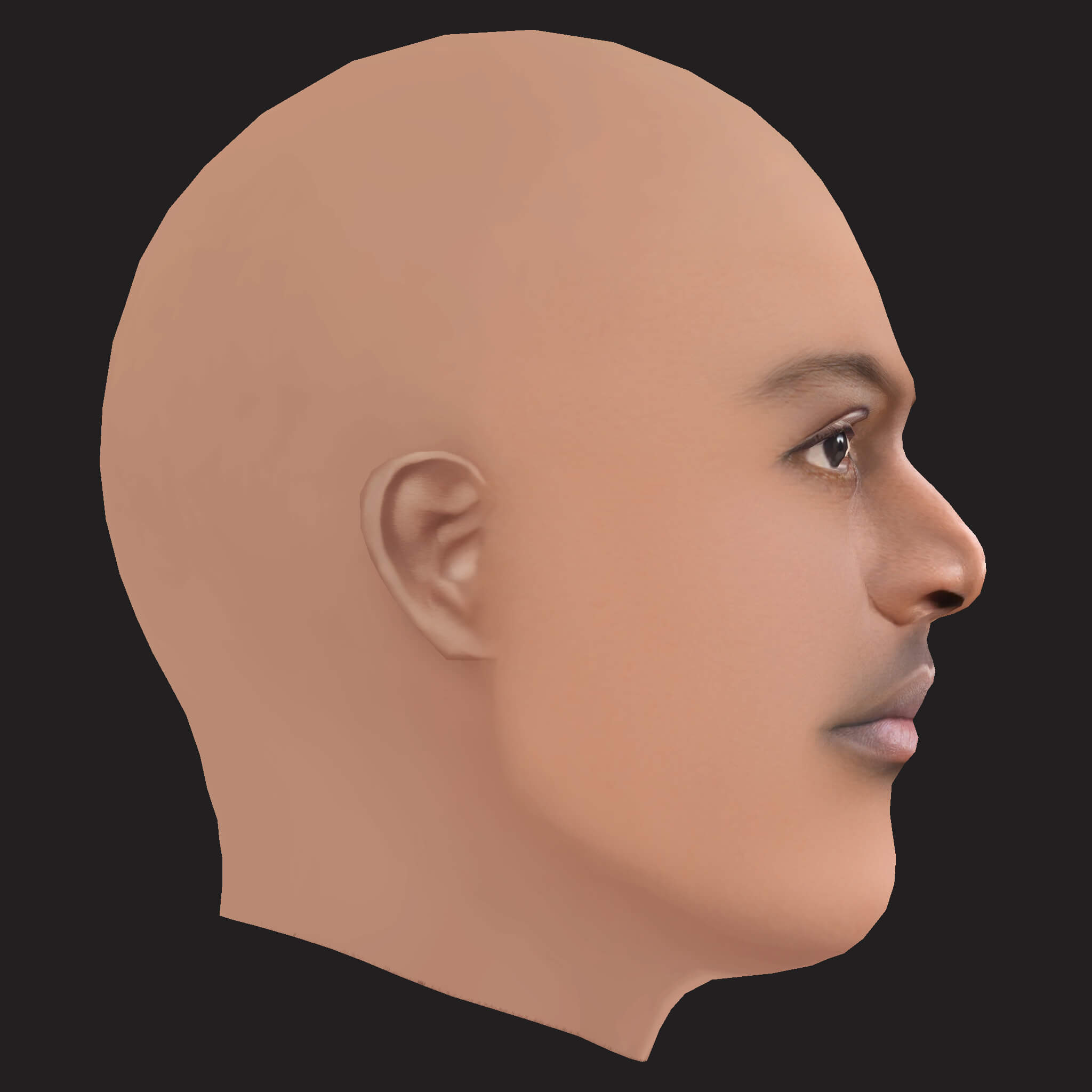 Low Poly Rick Ross Rapper Head 3D Model