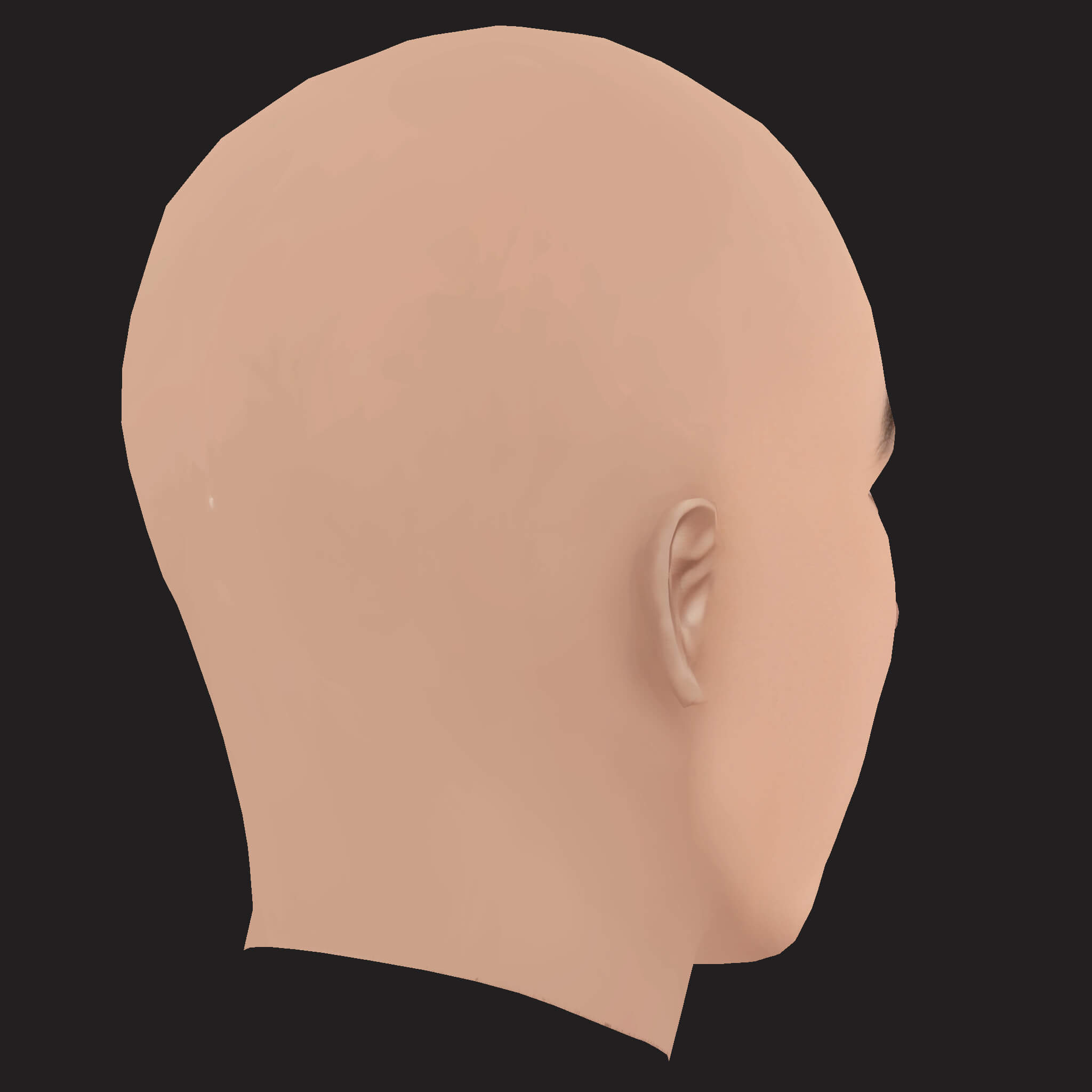 Low Poly Russ Rapper Head 3D Model
