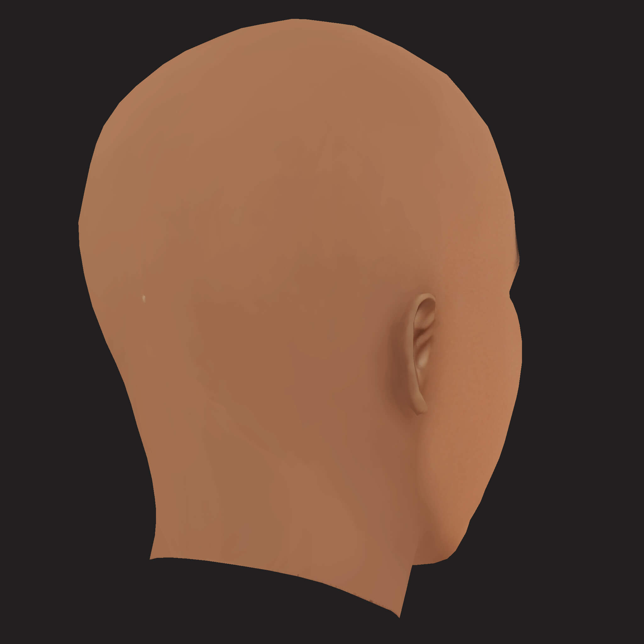 Low Poly Skepta Rapper Head 3D Model