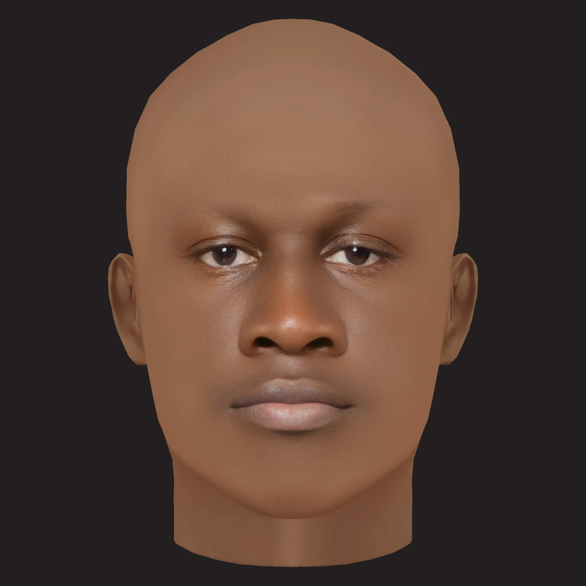 Low Poly Stormzy Rapper Head 3D Model
