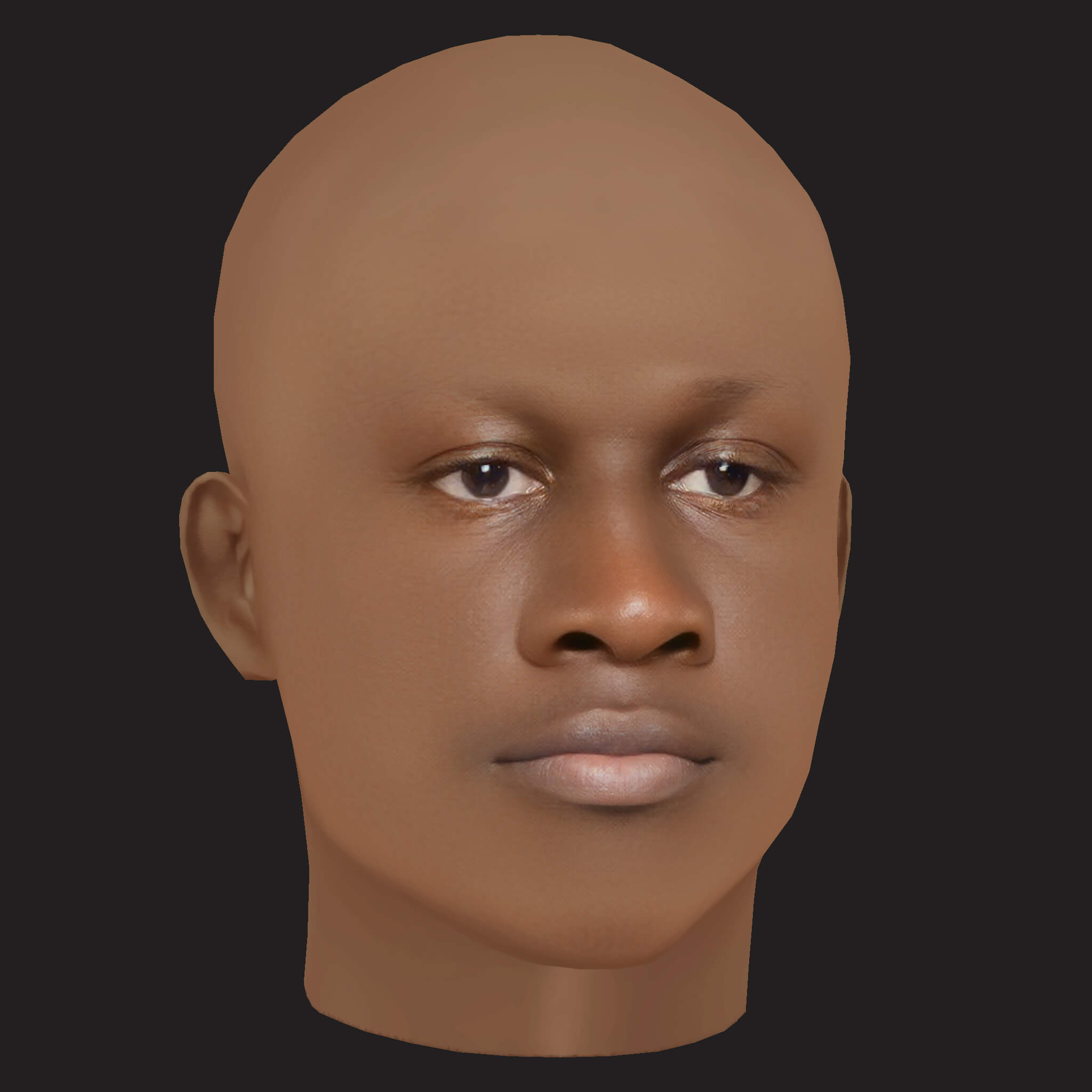 Low Poly Stormzy Rapper Head 3D Model