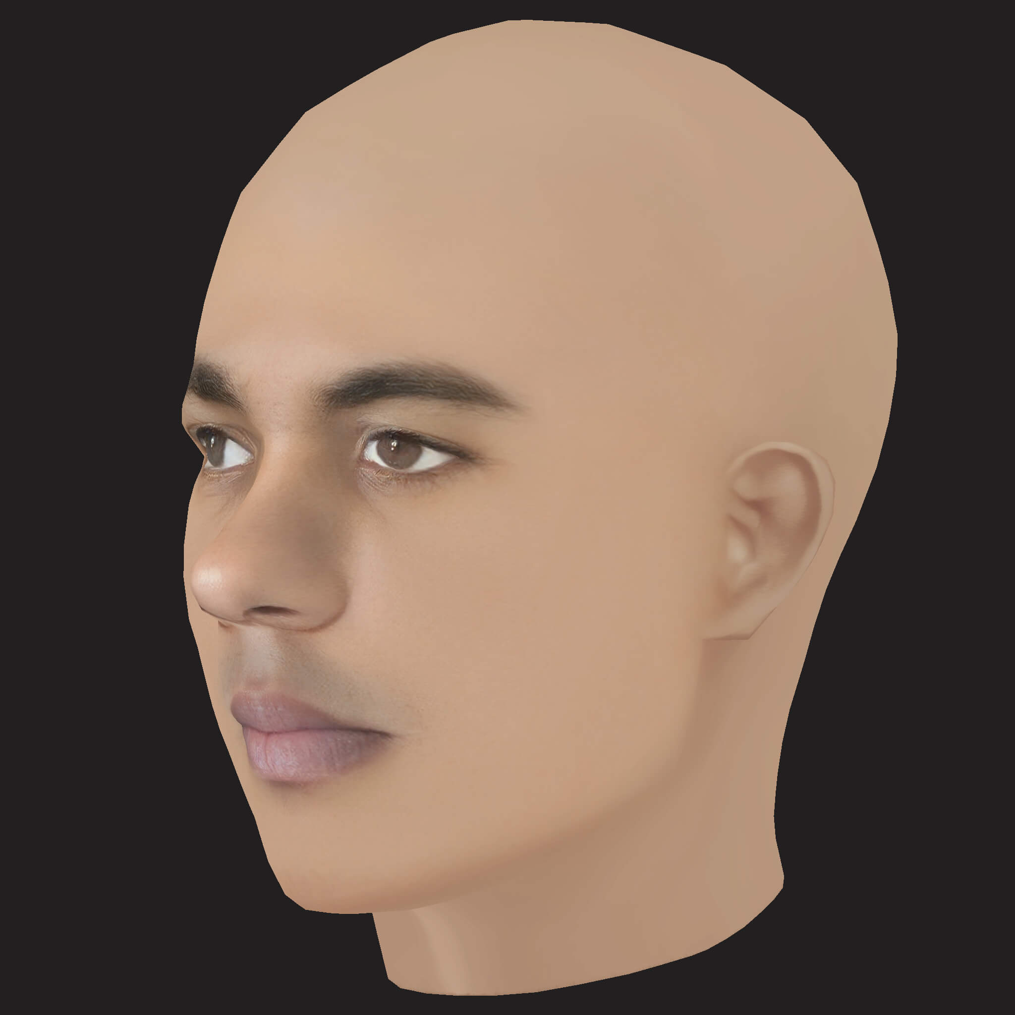 Low Poly the Game Rapper Head 3D Model