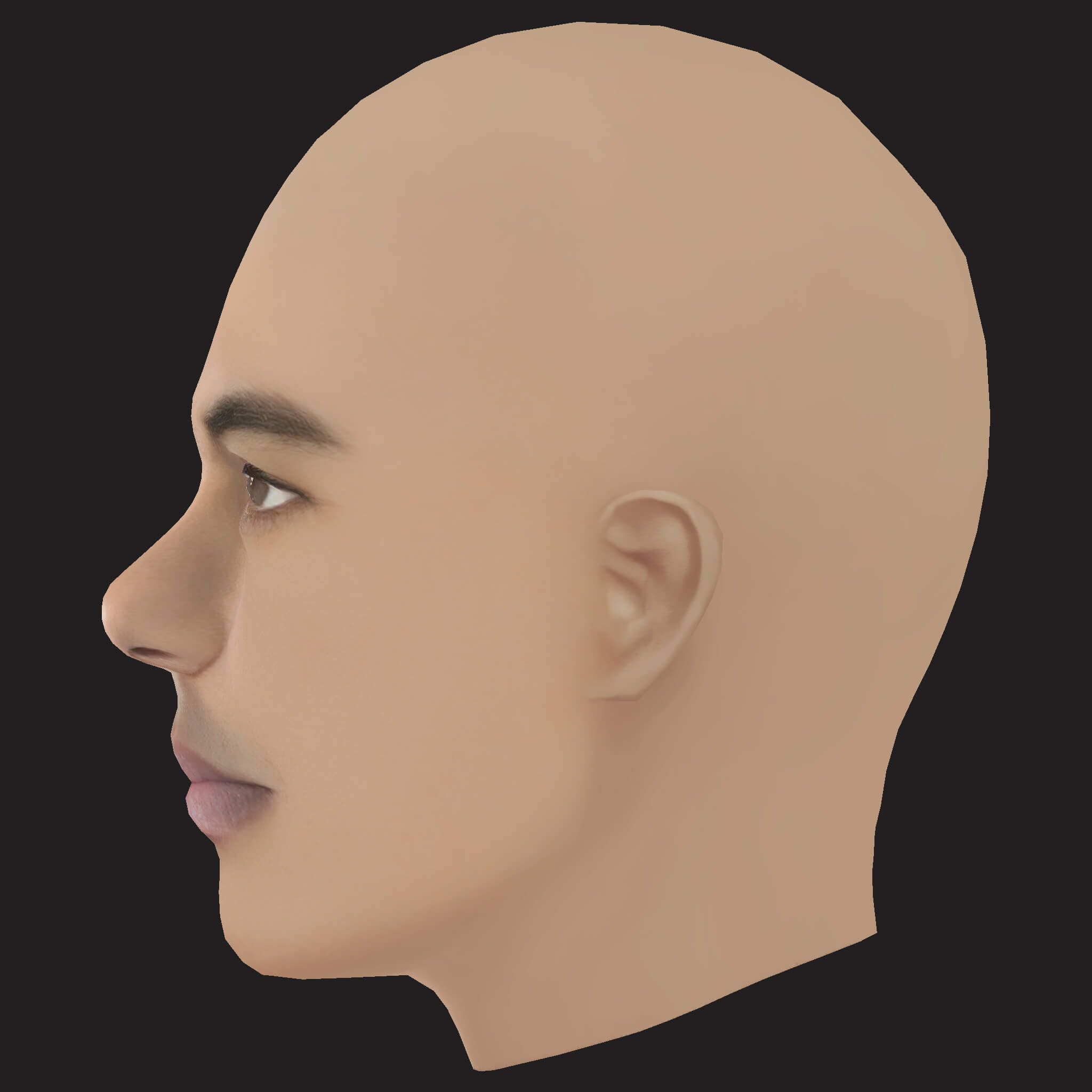 Low Poly the Game Rapper Head 3D Model