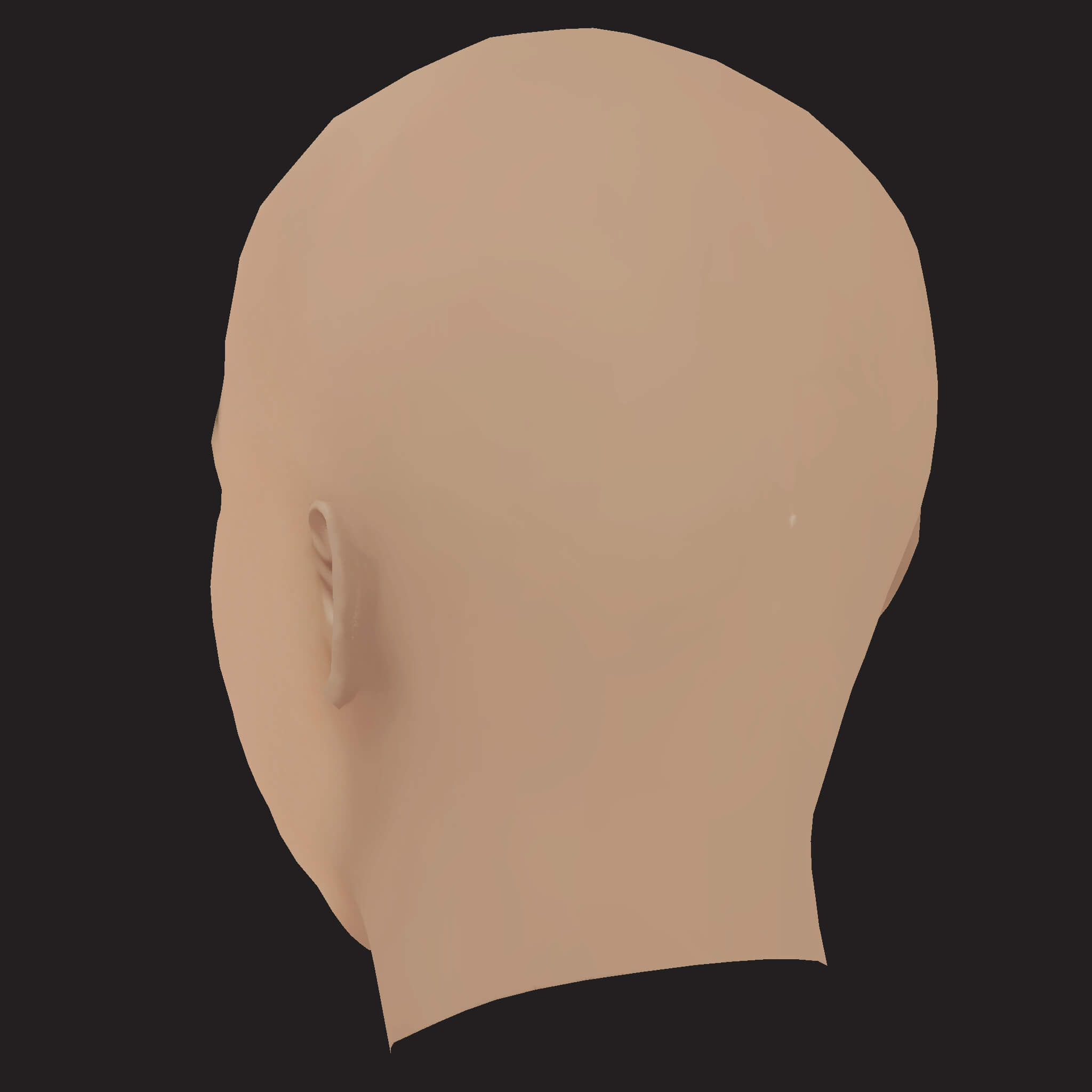 Low Poly the Game Rapper Head 3D Model