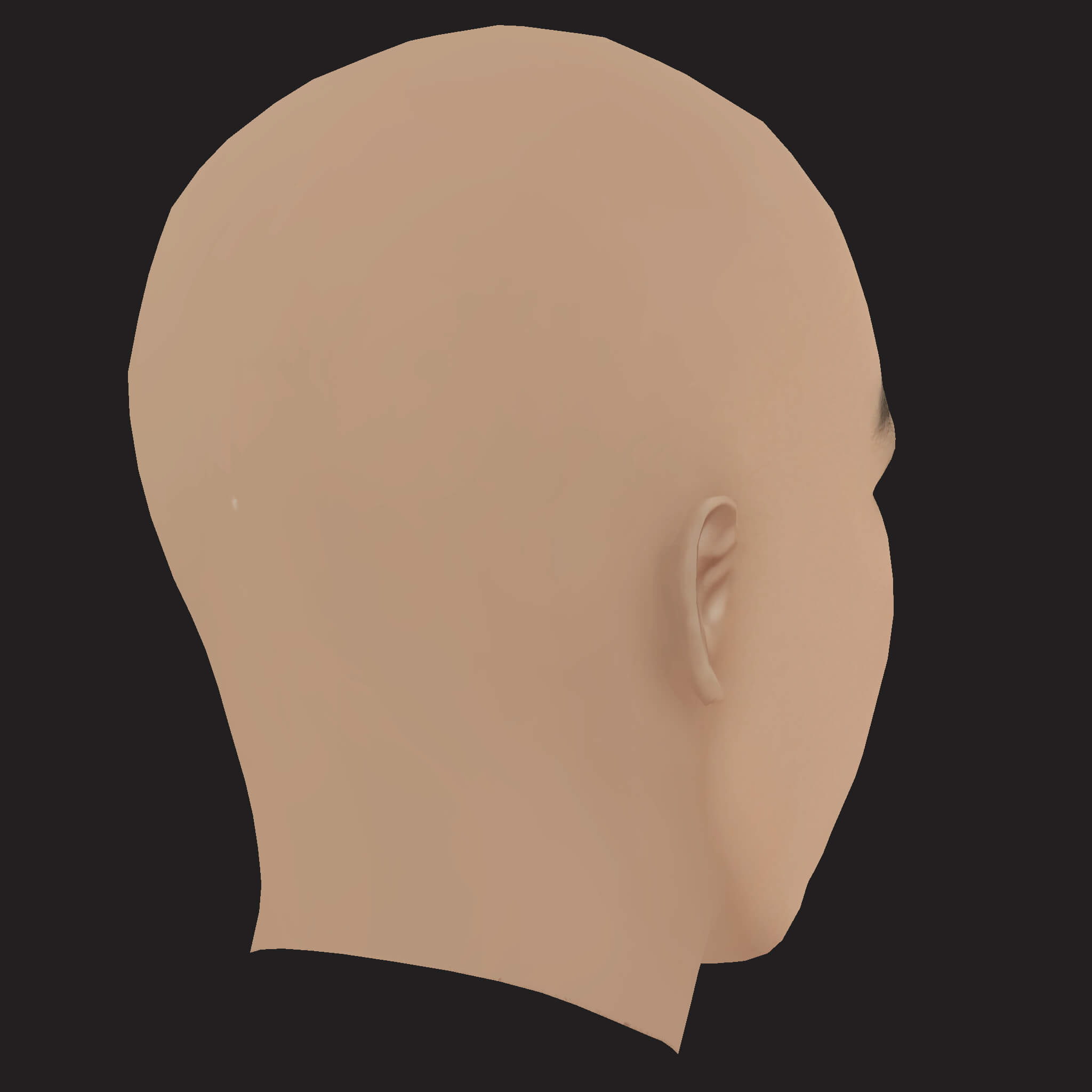 Low Poly the Game Rapper Head 3D Model