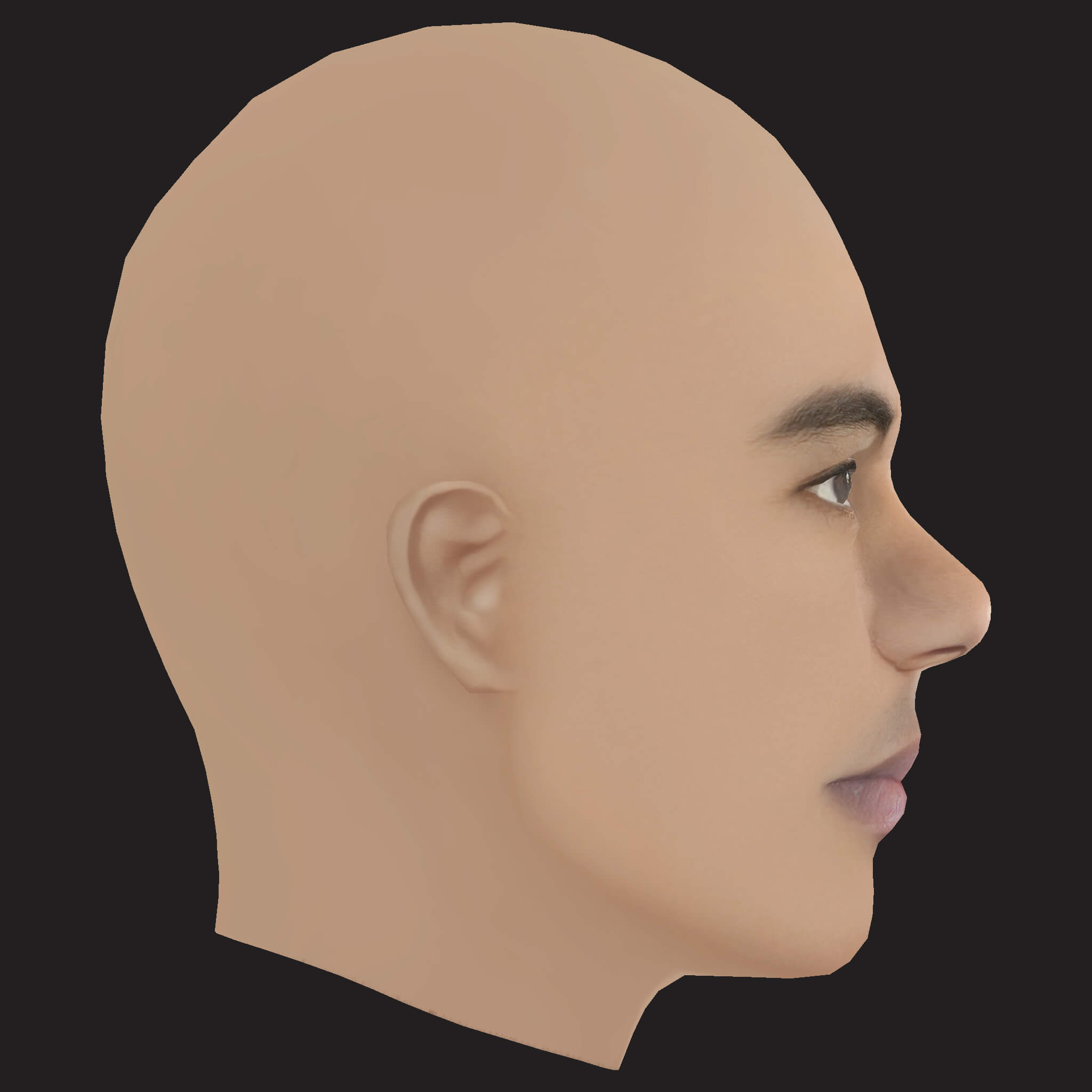 Low Poly the Game Rapper Head 3D Model