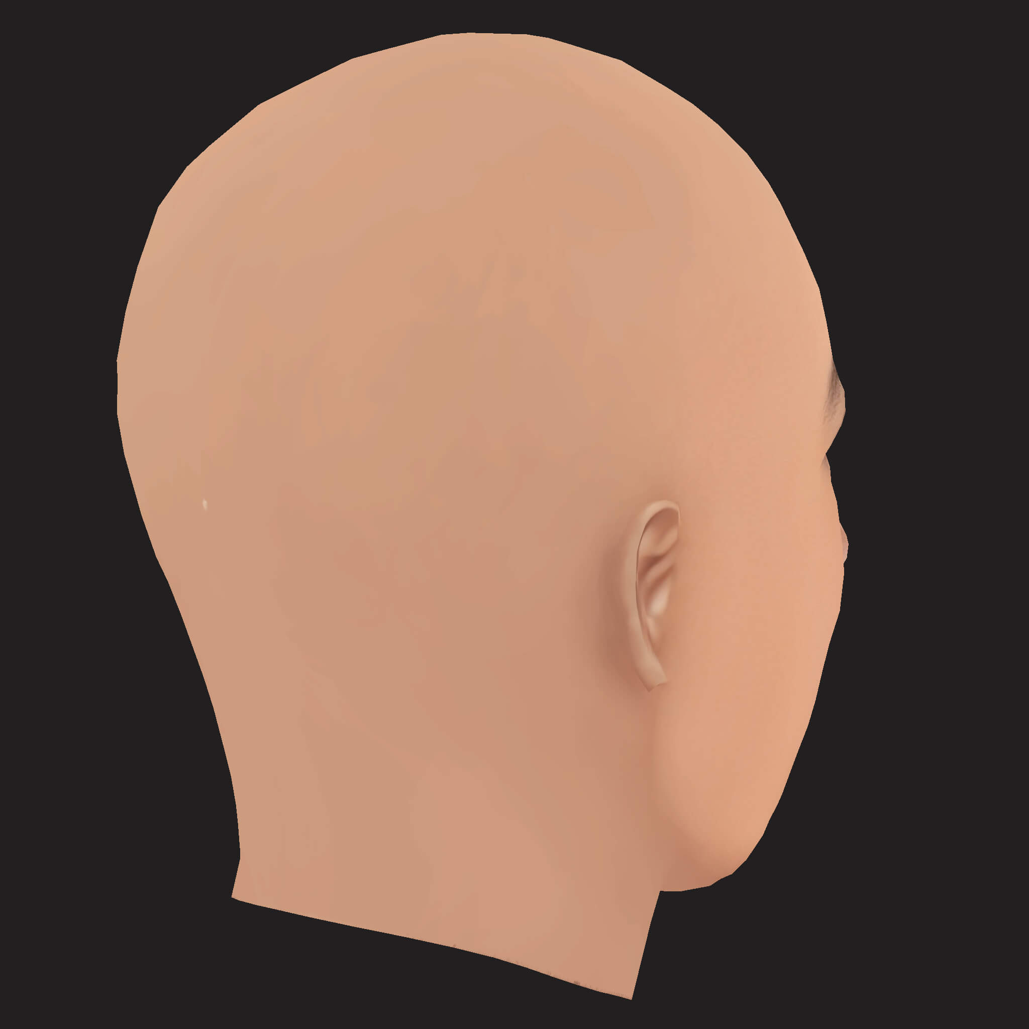 Low Poly Tyga Rapper Head 3D Model