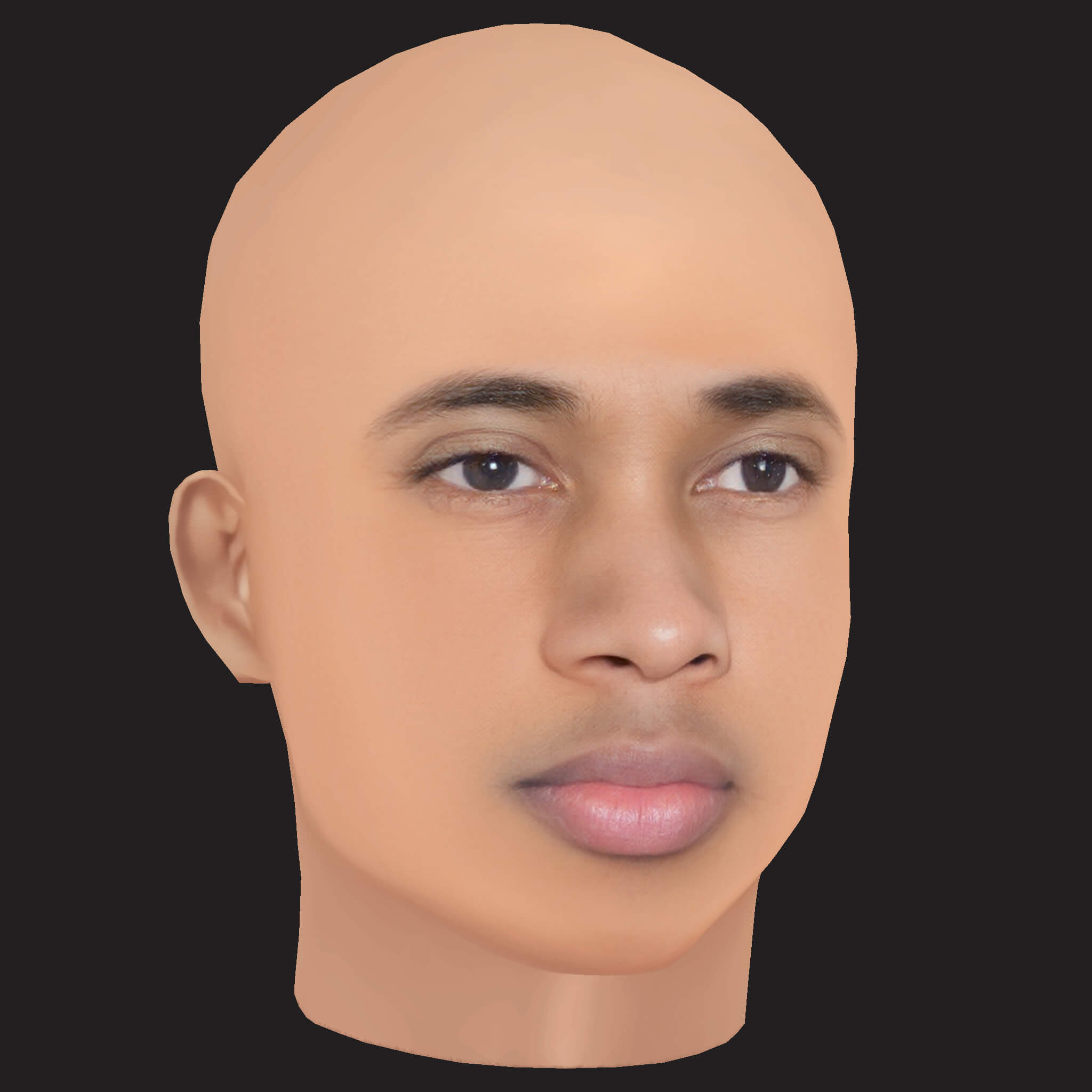 Low Poly Tyga Rapper Head 3D Model