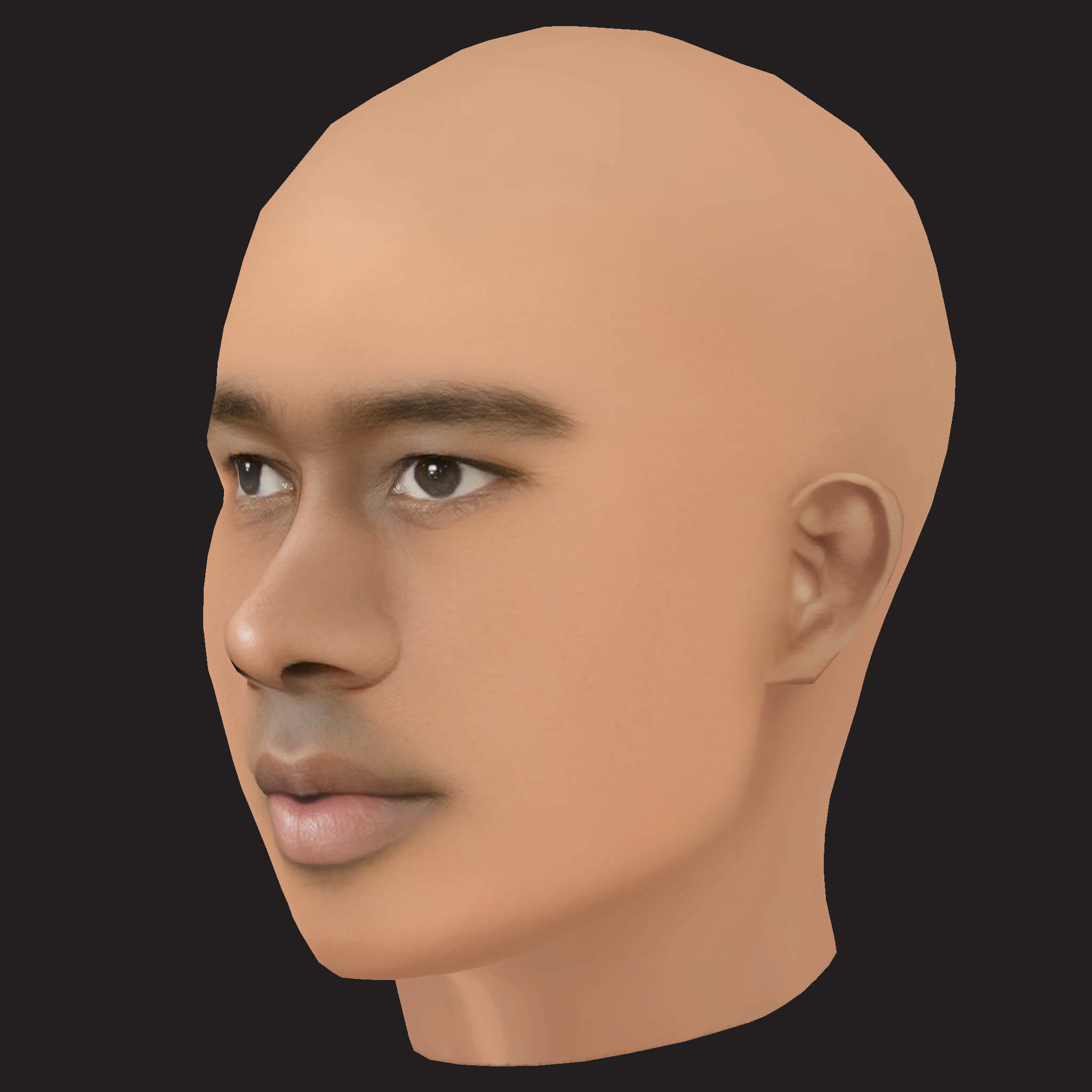 Low Poly Tyler the Creator Rapper Head 3D Model