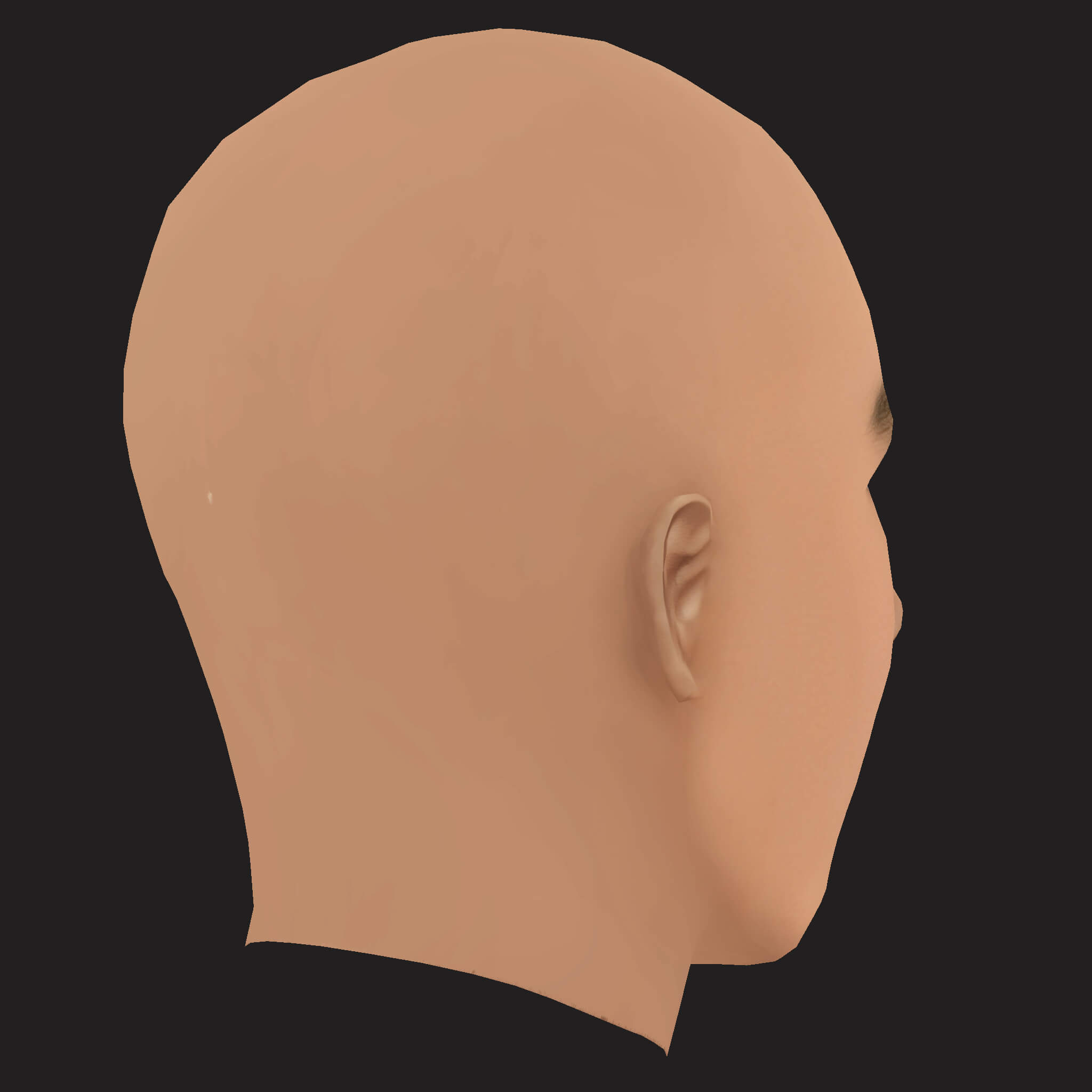 Low Poly Tyler the Creator Rapper Head 3D Model