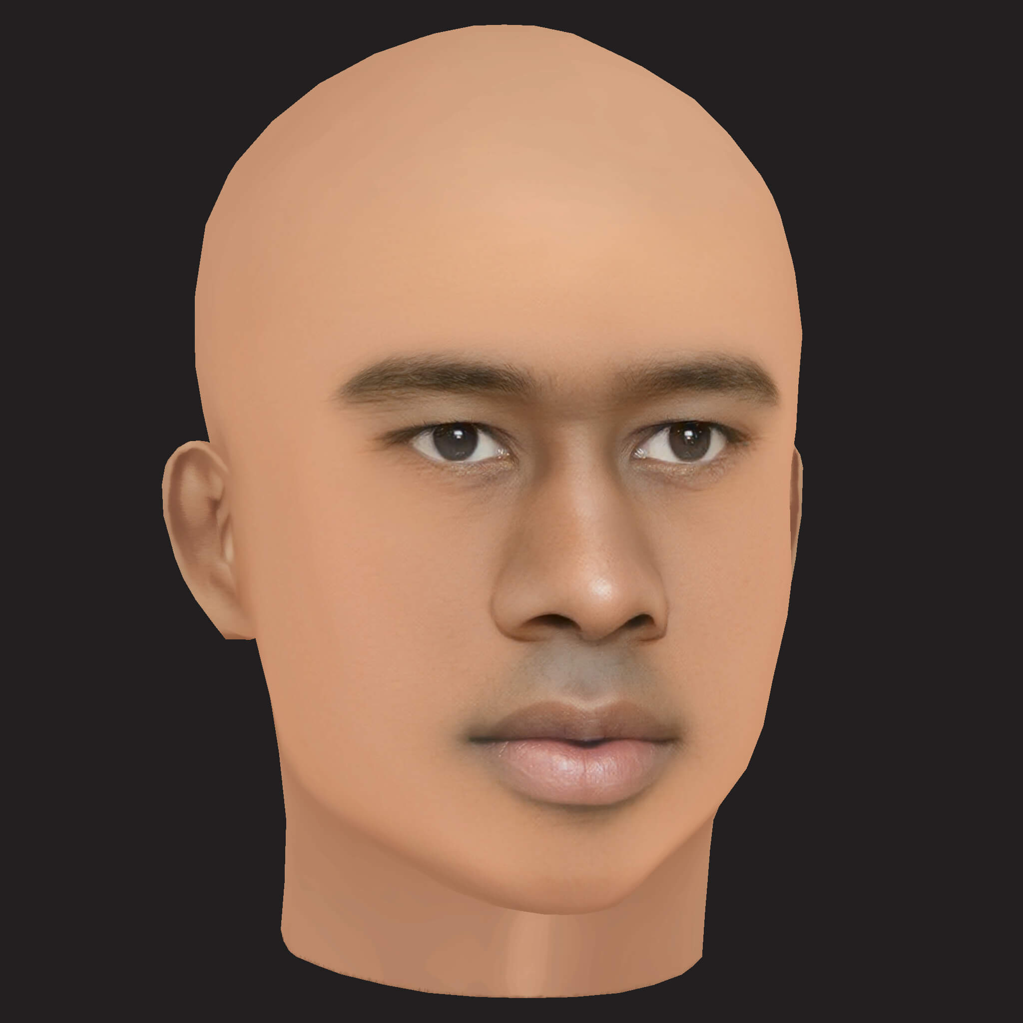 Low Poly Tyler the Creator Rapper Head 3D Model