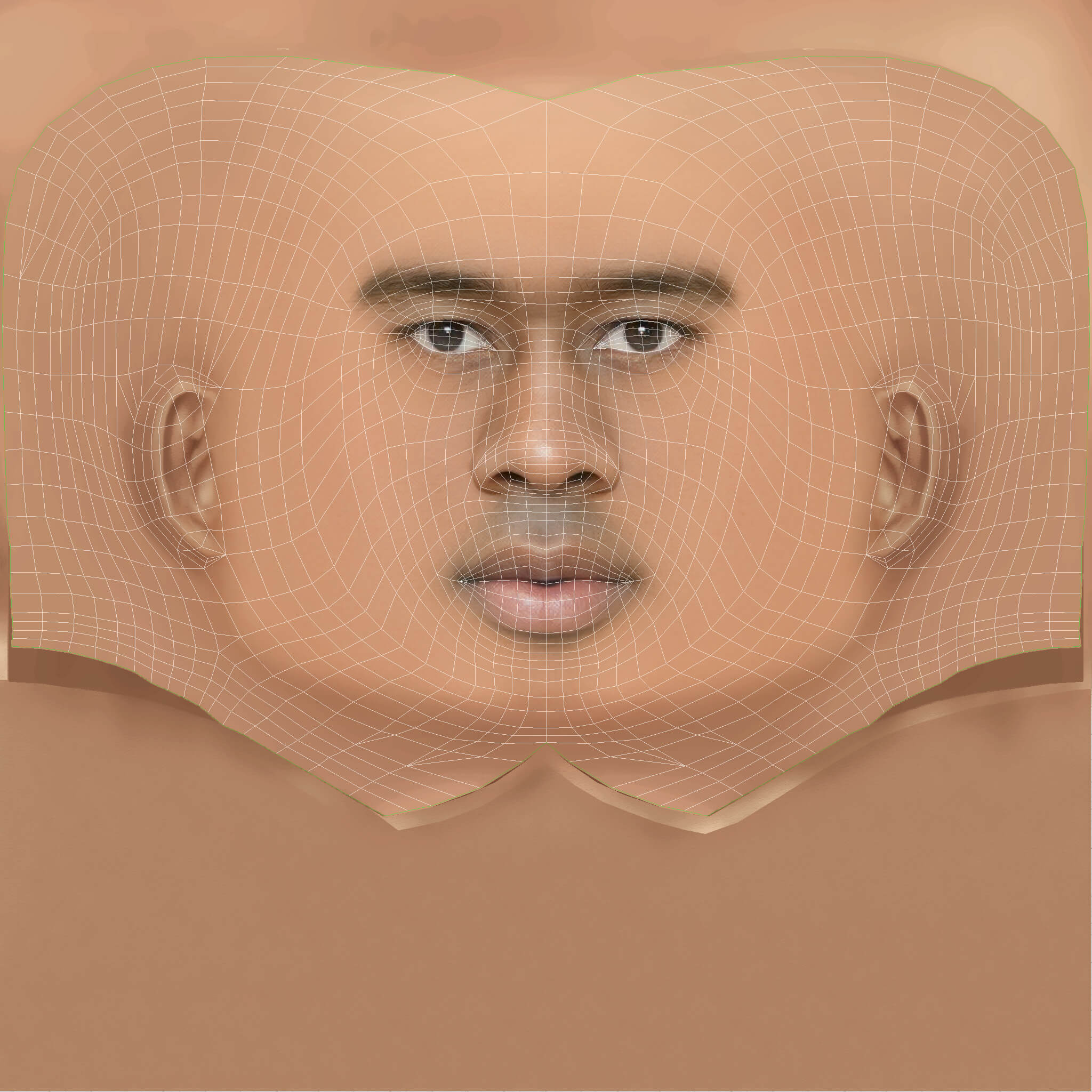 Low Poly Tyler the Creator Rapper Head 3D Model