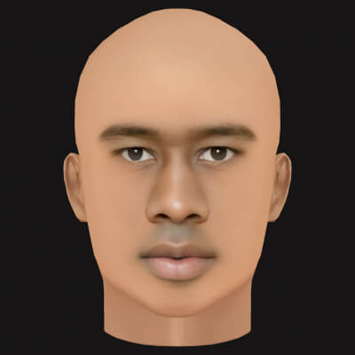 Low Poly Tyler the Creator Rapper Head