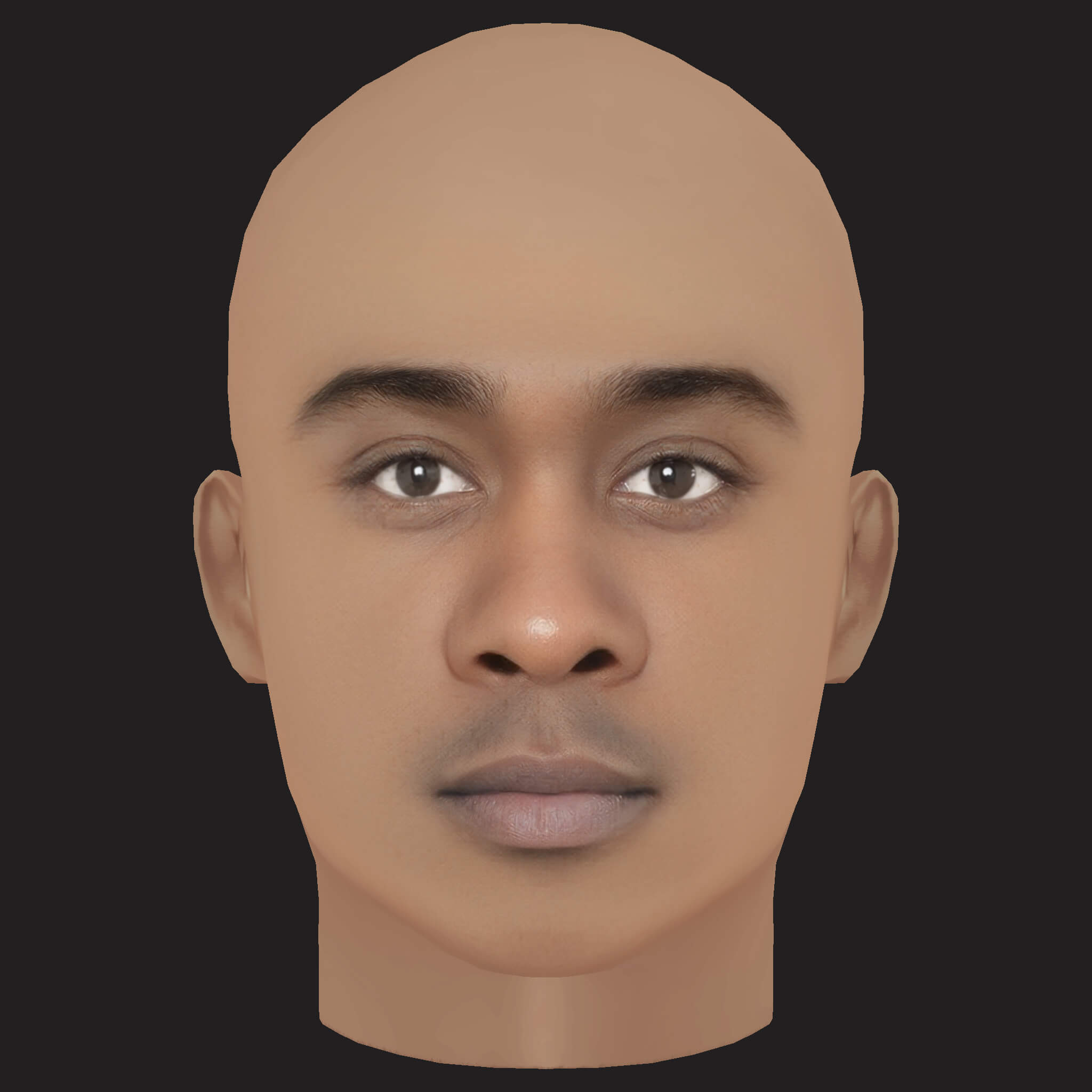 Low Poly Whale Rapper Head 3D Model