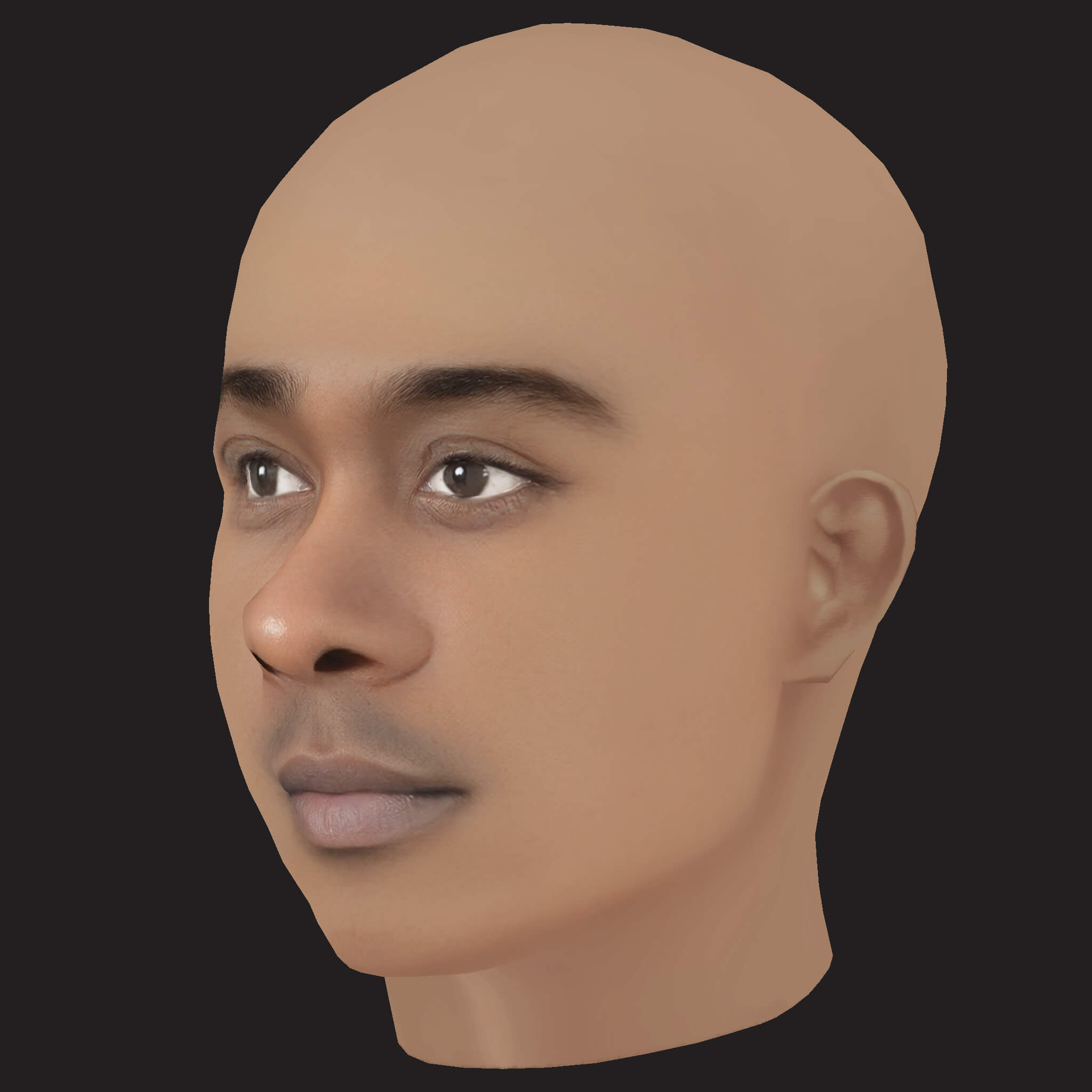 Low Poly Whale Rapper Head 3D Model