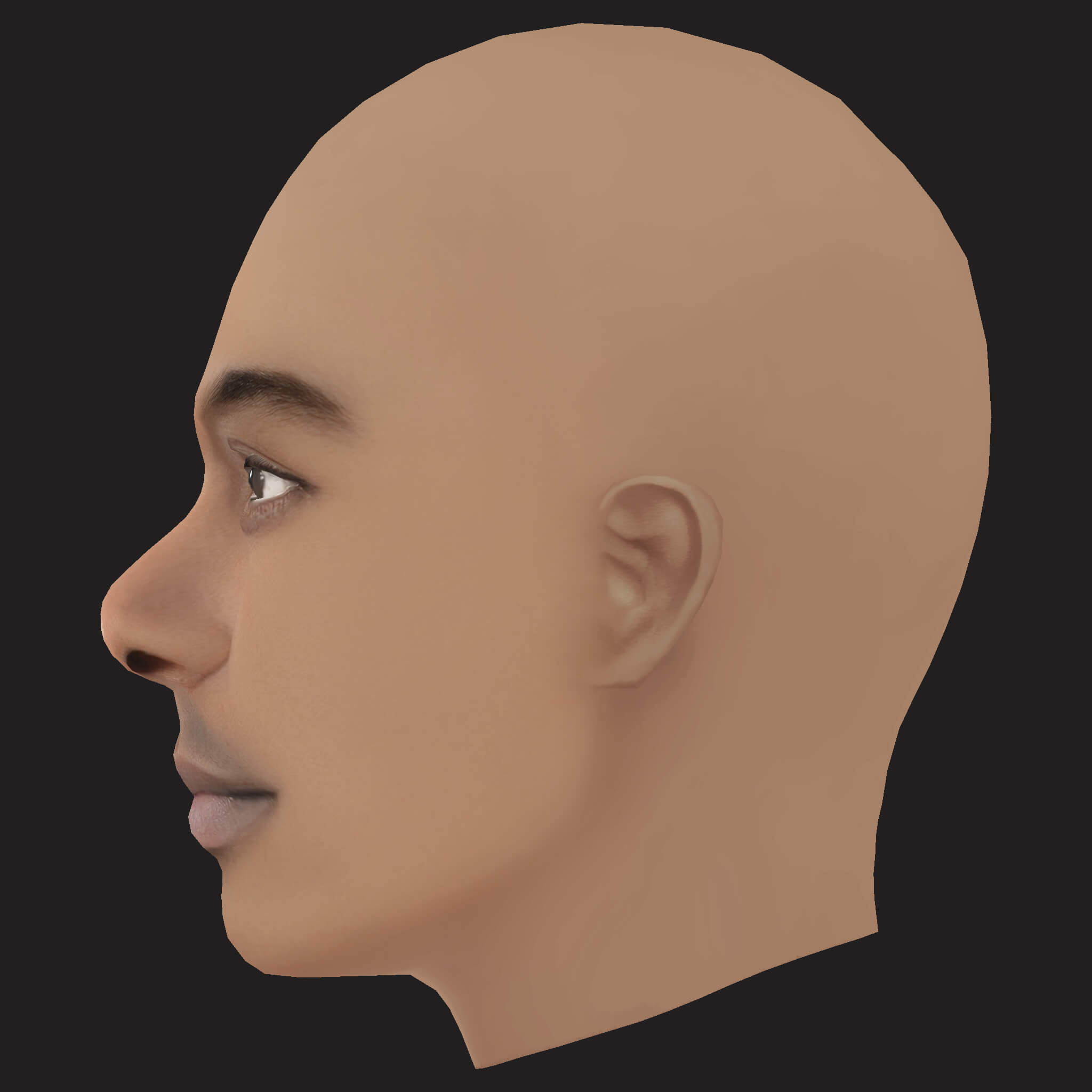 Low Poly Whale Rapper Head 3D Model