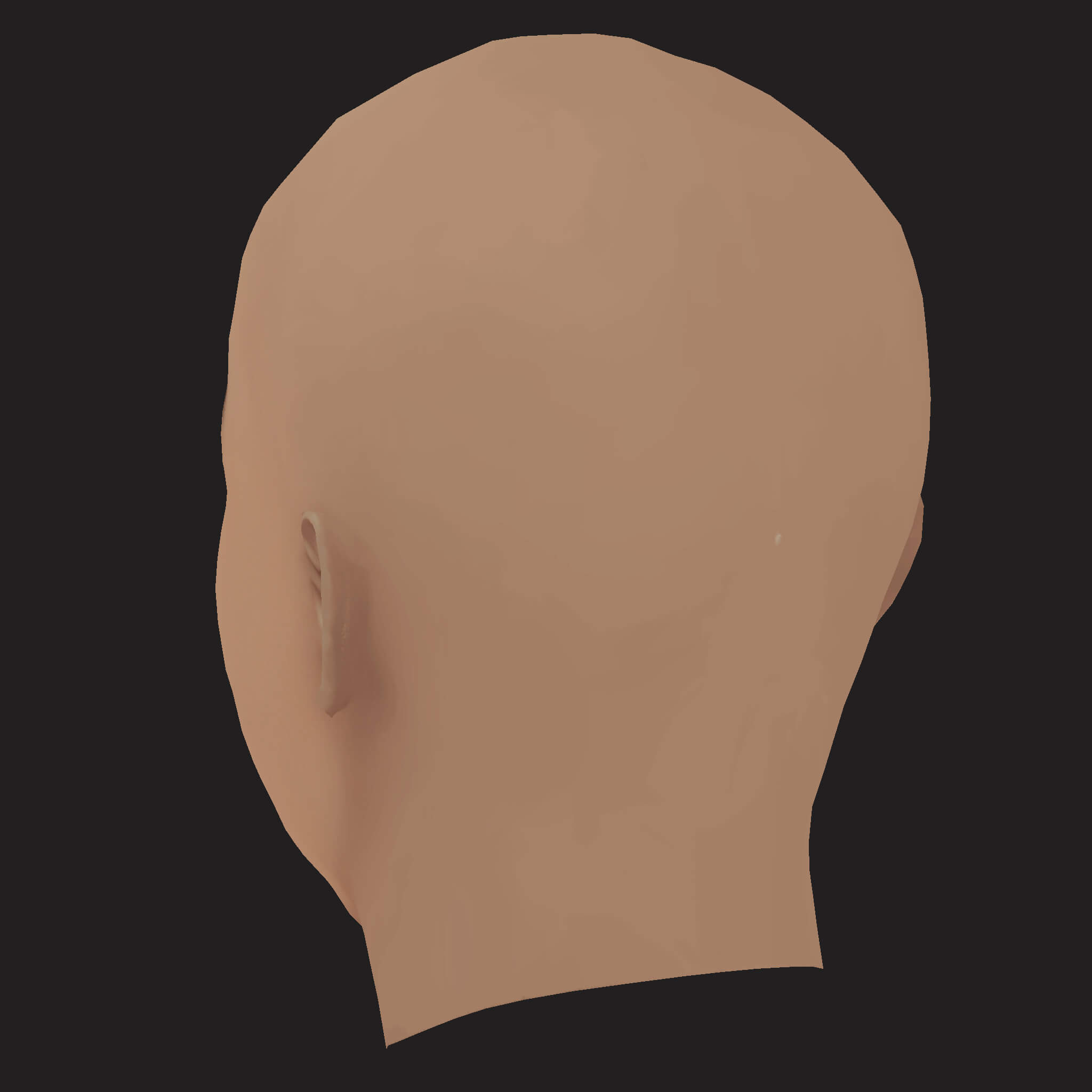 Low Poly Whale Rapper Head 3D Model
