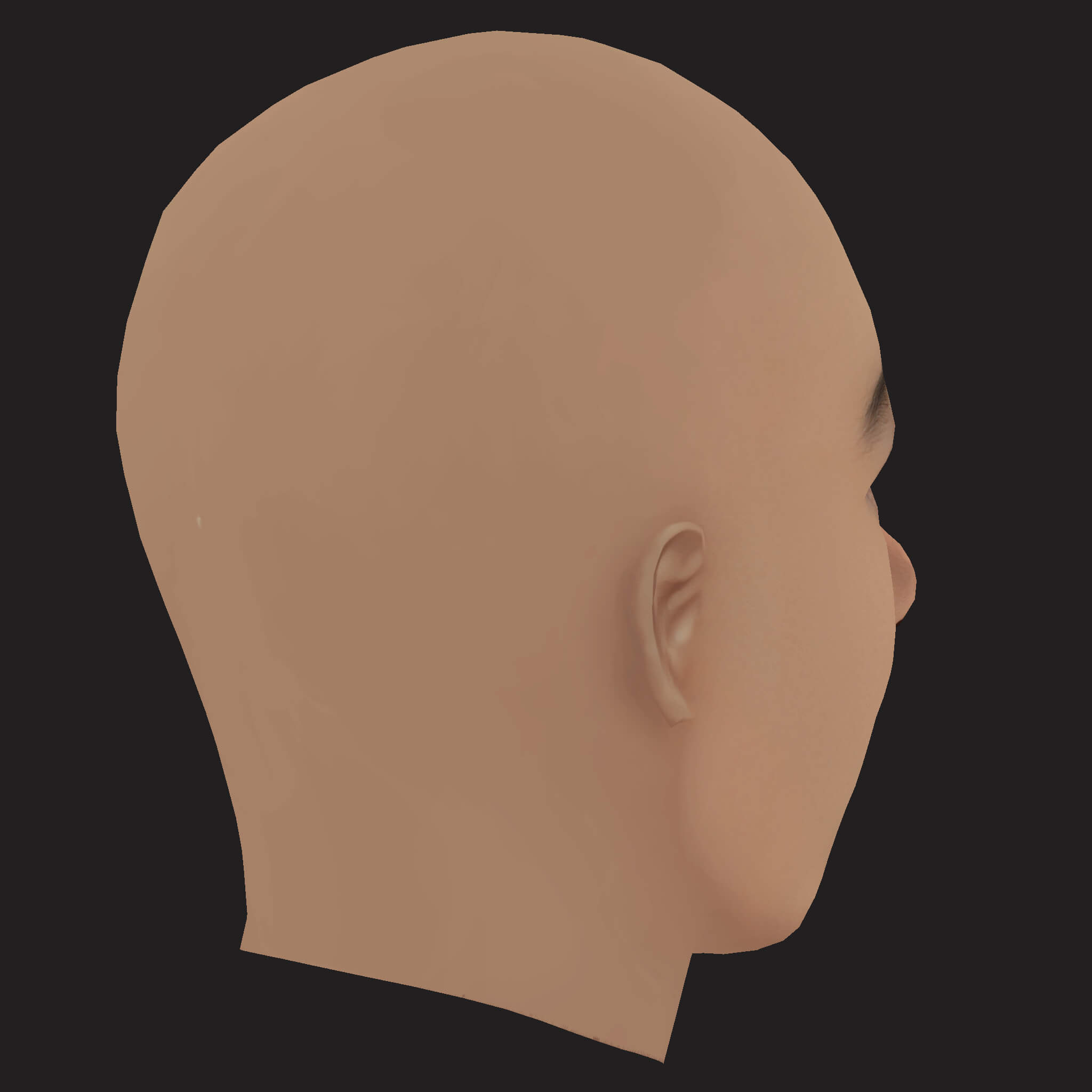 Low Poly Whale Rapper Head 3D Model