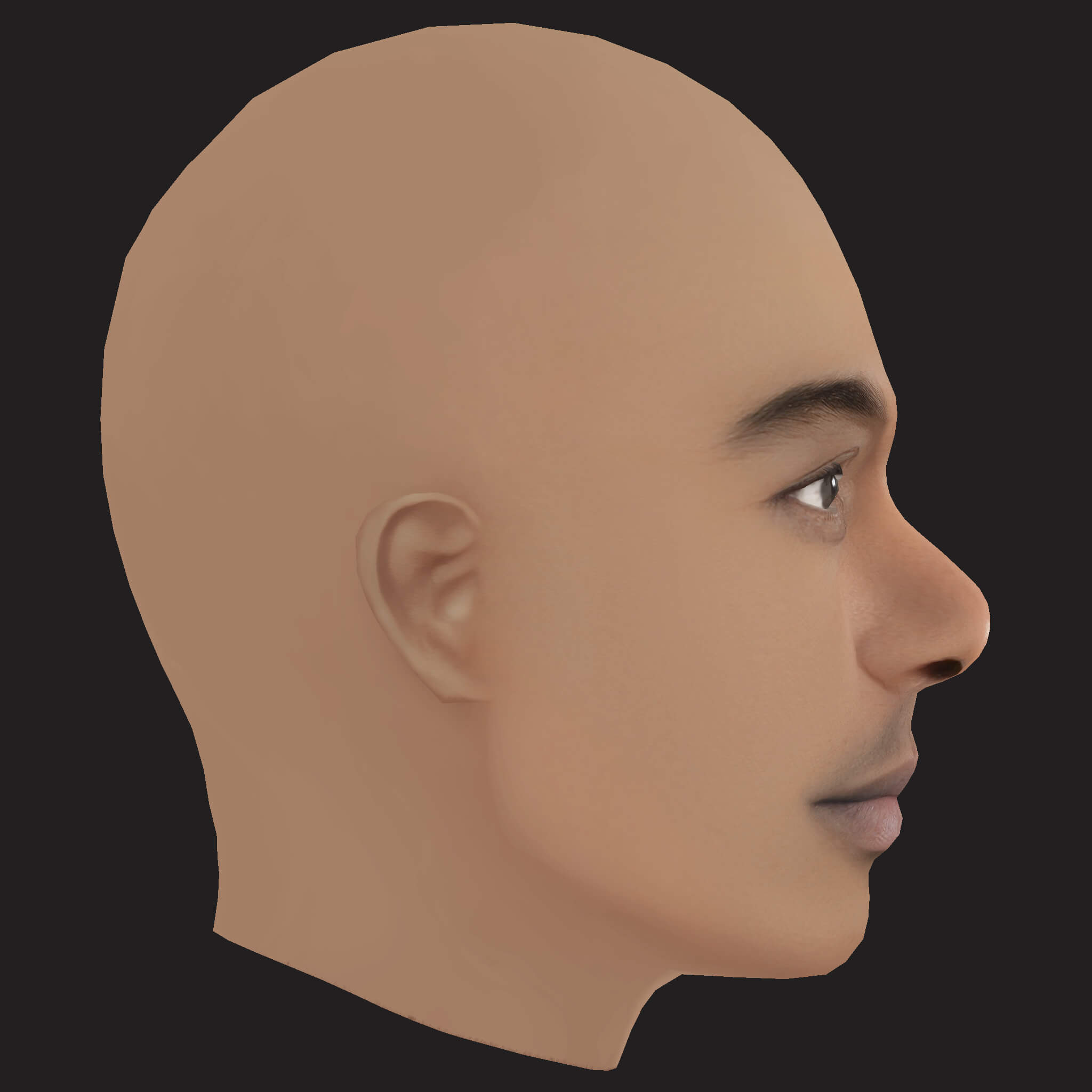 Low Poly Whale Rapper Head 3D Model