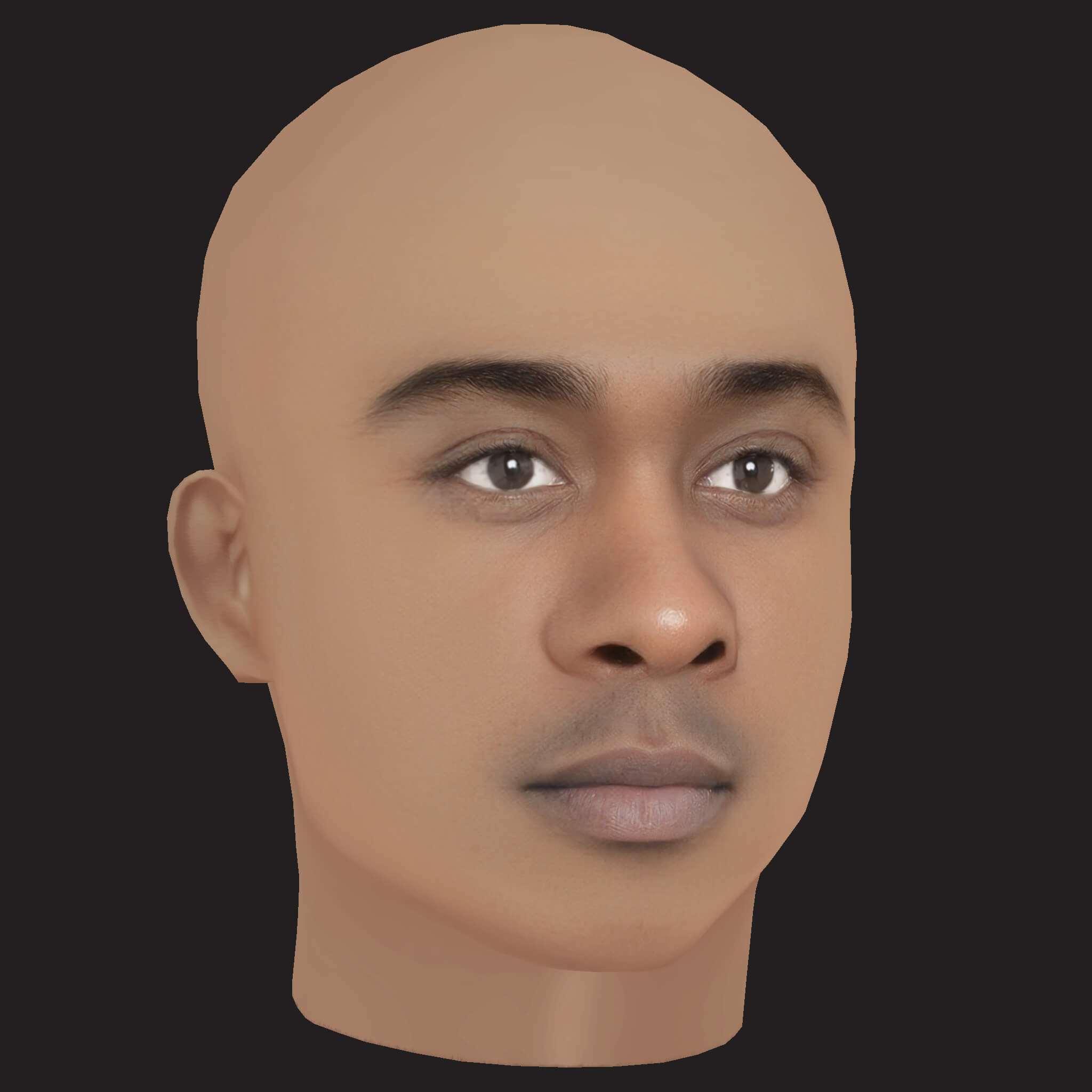 Low Poly Whale Rapper Head 3D Model
