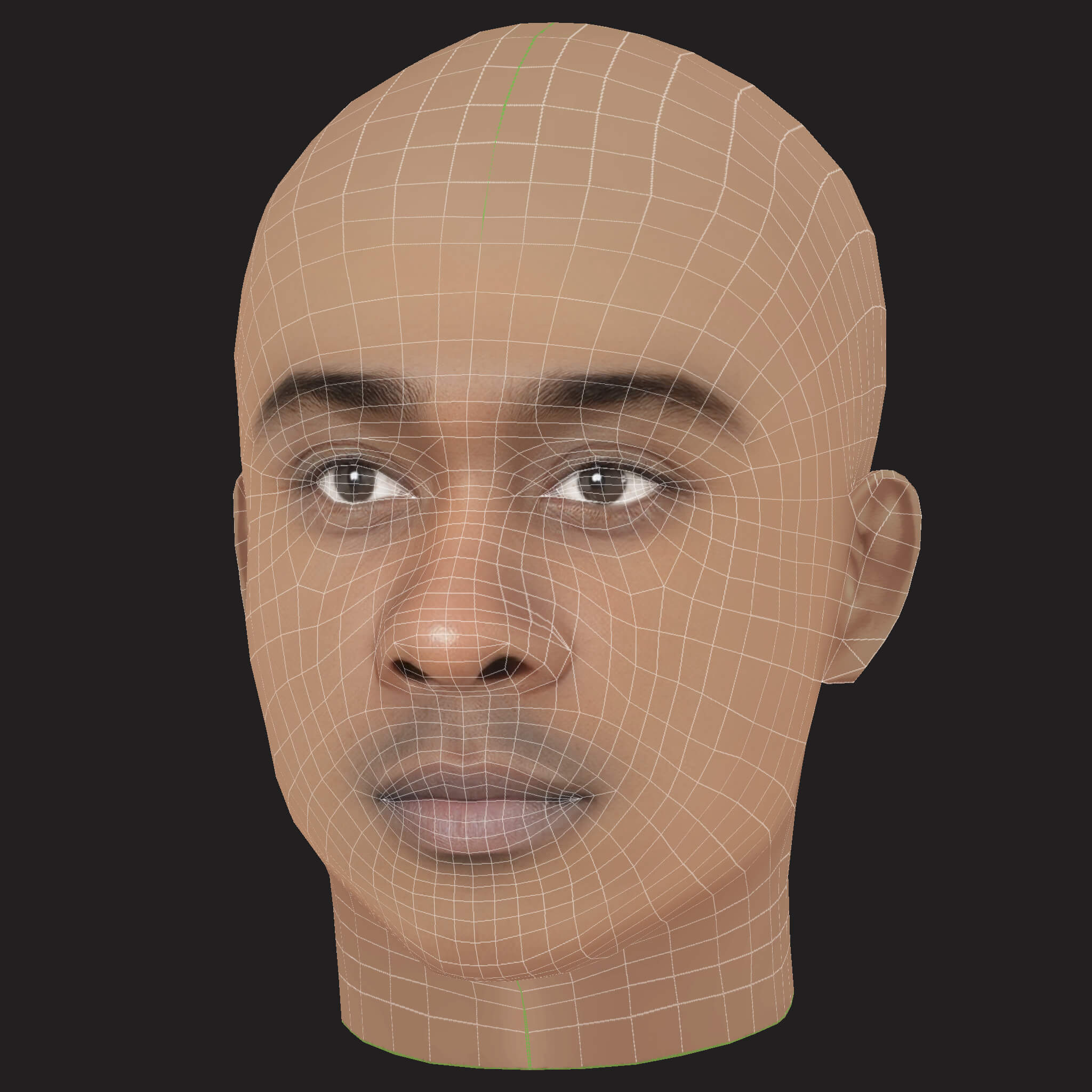 Low Poly Whale Rapper Head 3D Model