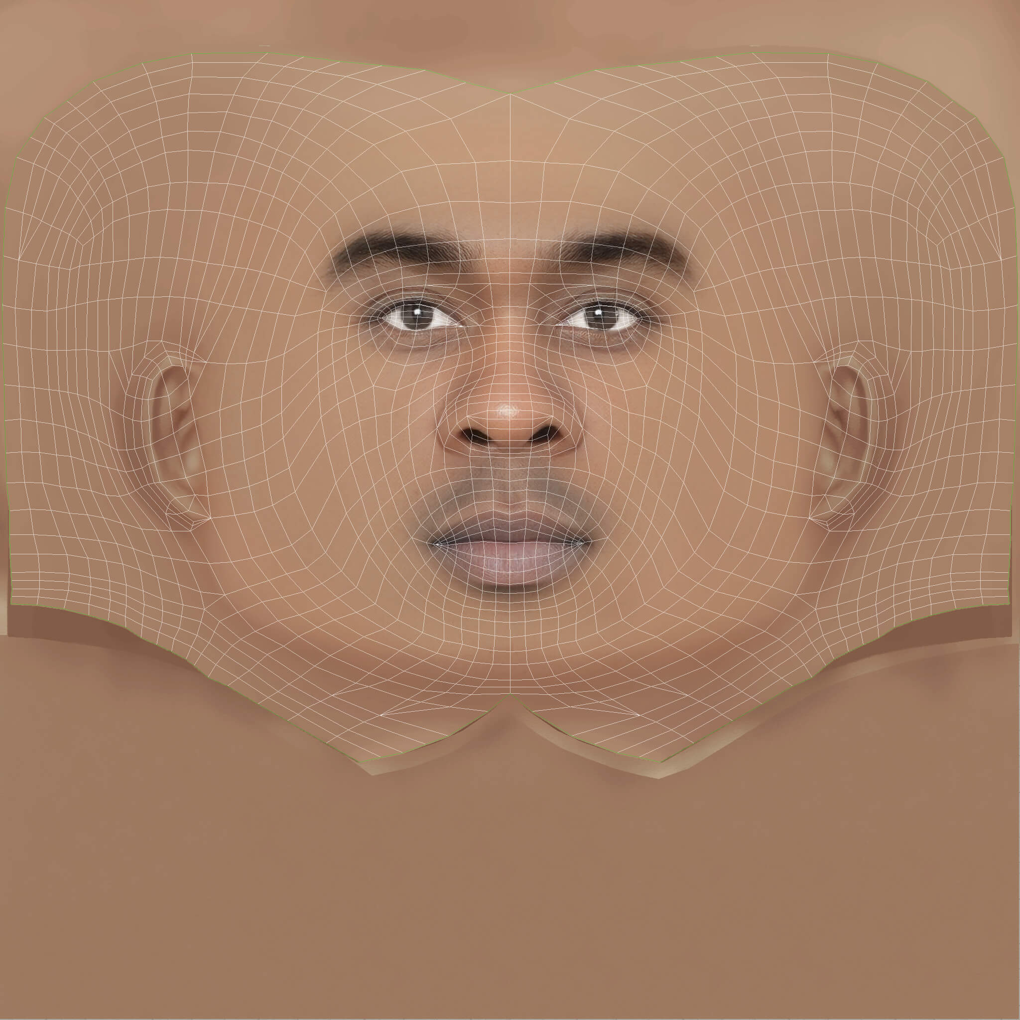 Low Poly Whale Rapper Head 3D Model