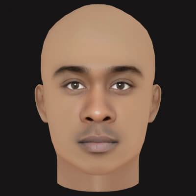 Low Poly Whale Rapper Head
