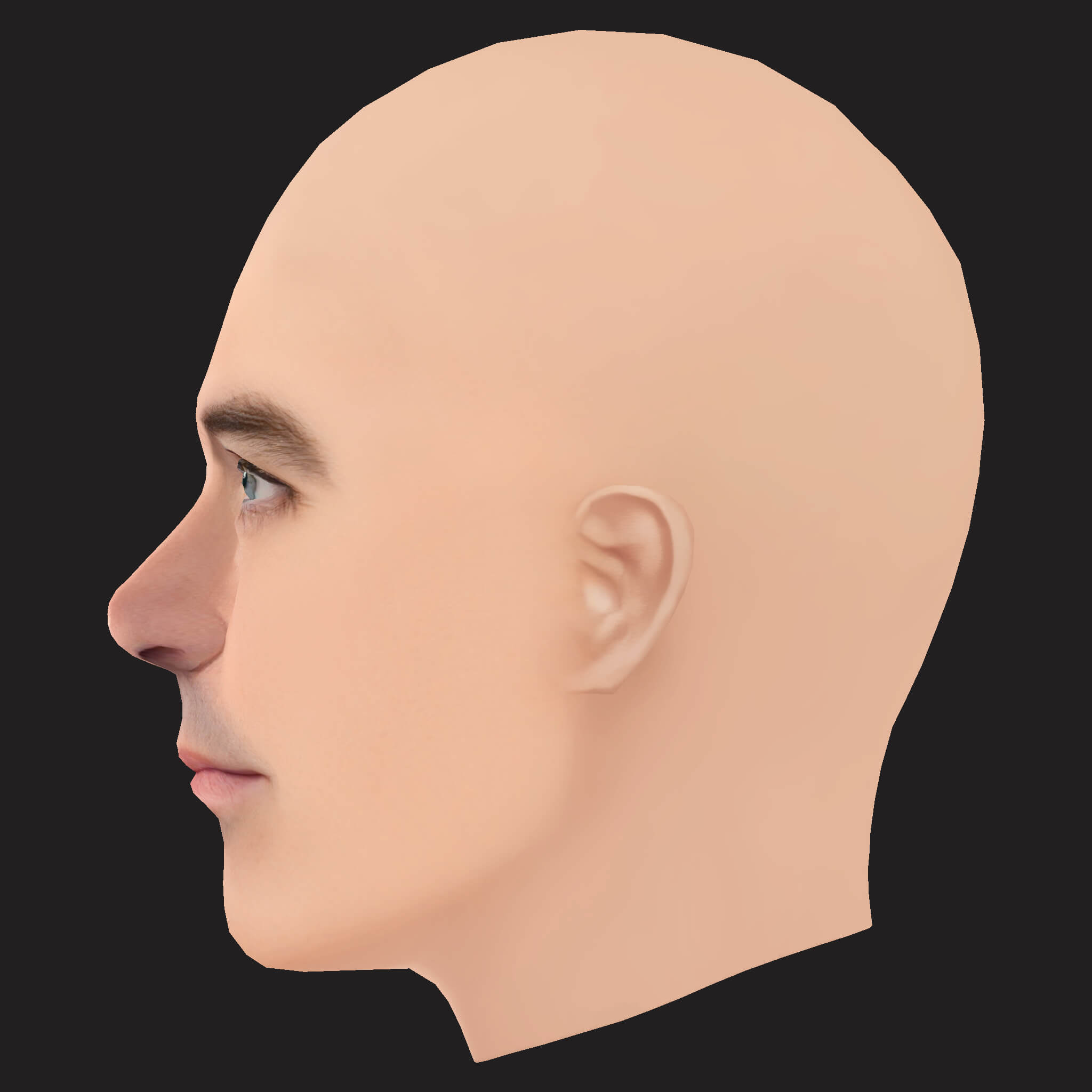 Low Poly Yelawolf Rapper Head 3D Model