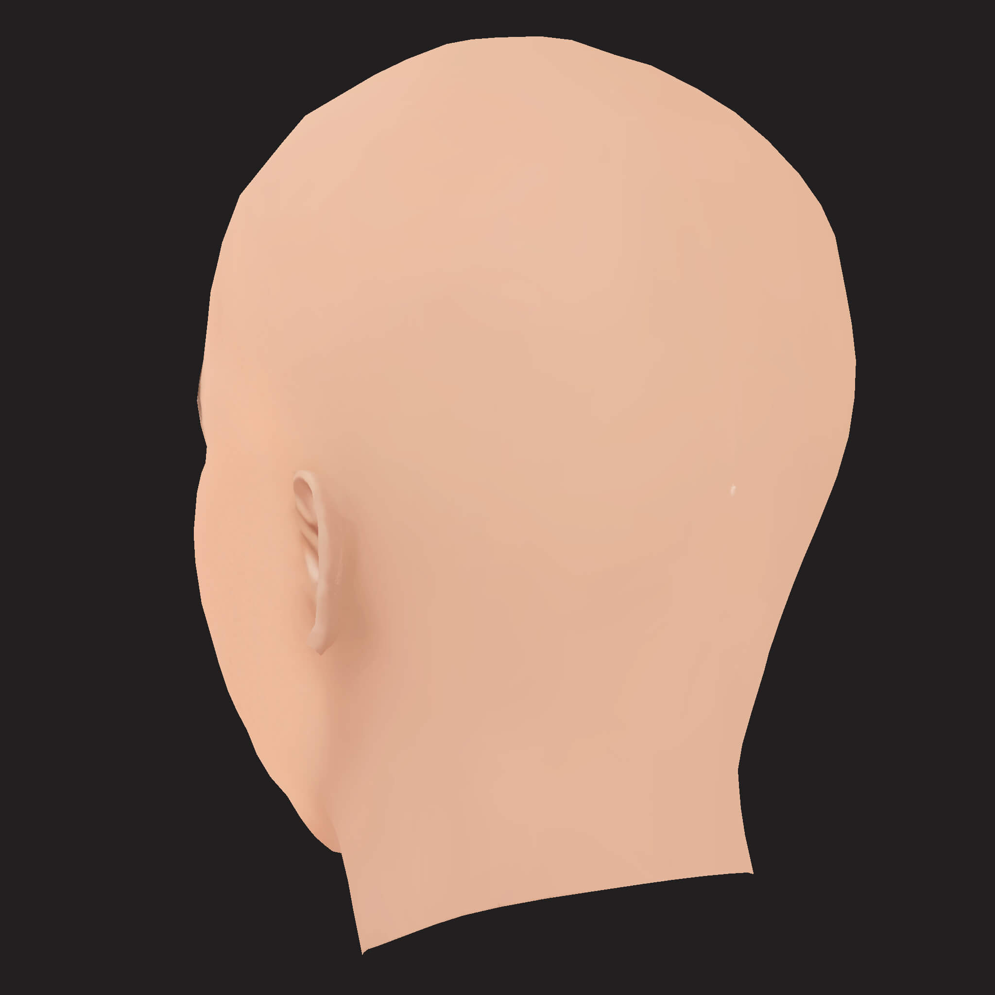 Low Poly Yelawolf Rapper Head 3D Model